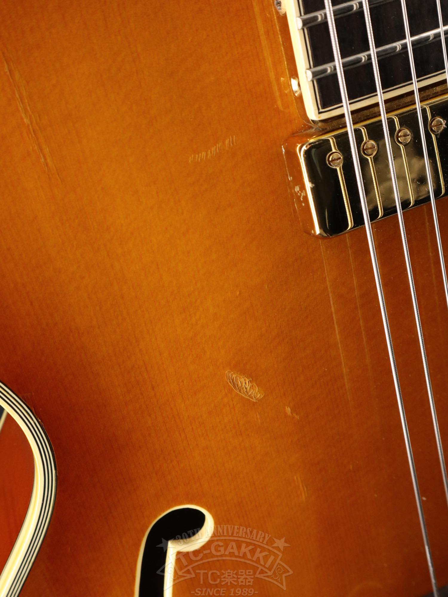 Aria Custom Shop AP-FA03