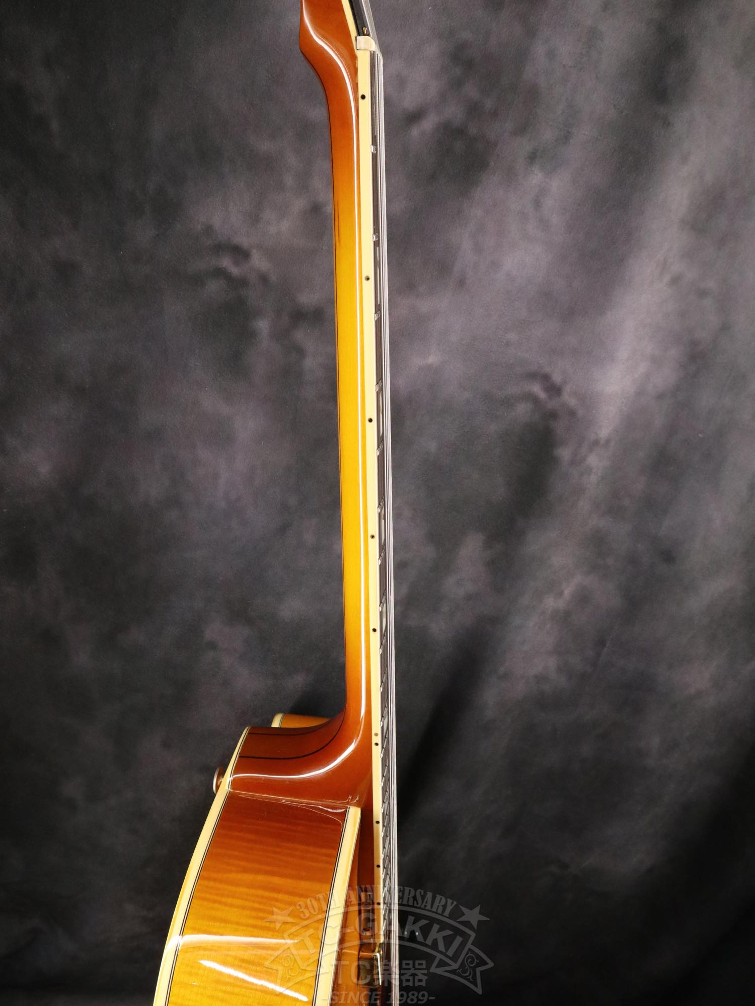 Aria Custom Shop AP-FA03