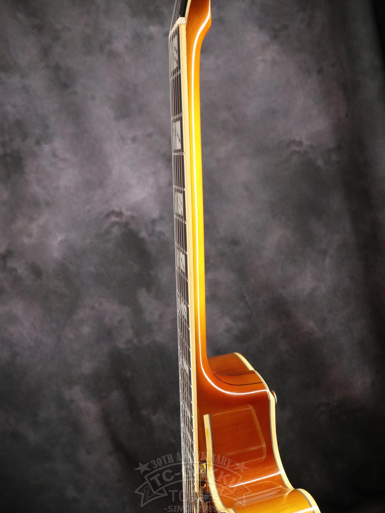Aria Custom Shop AP-FA03