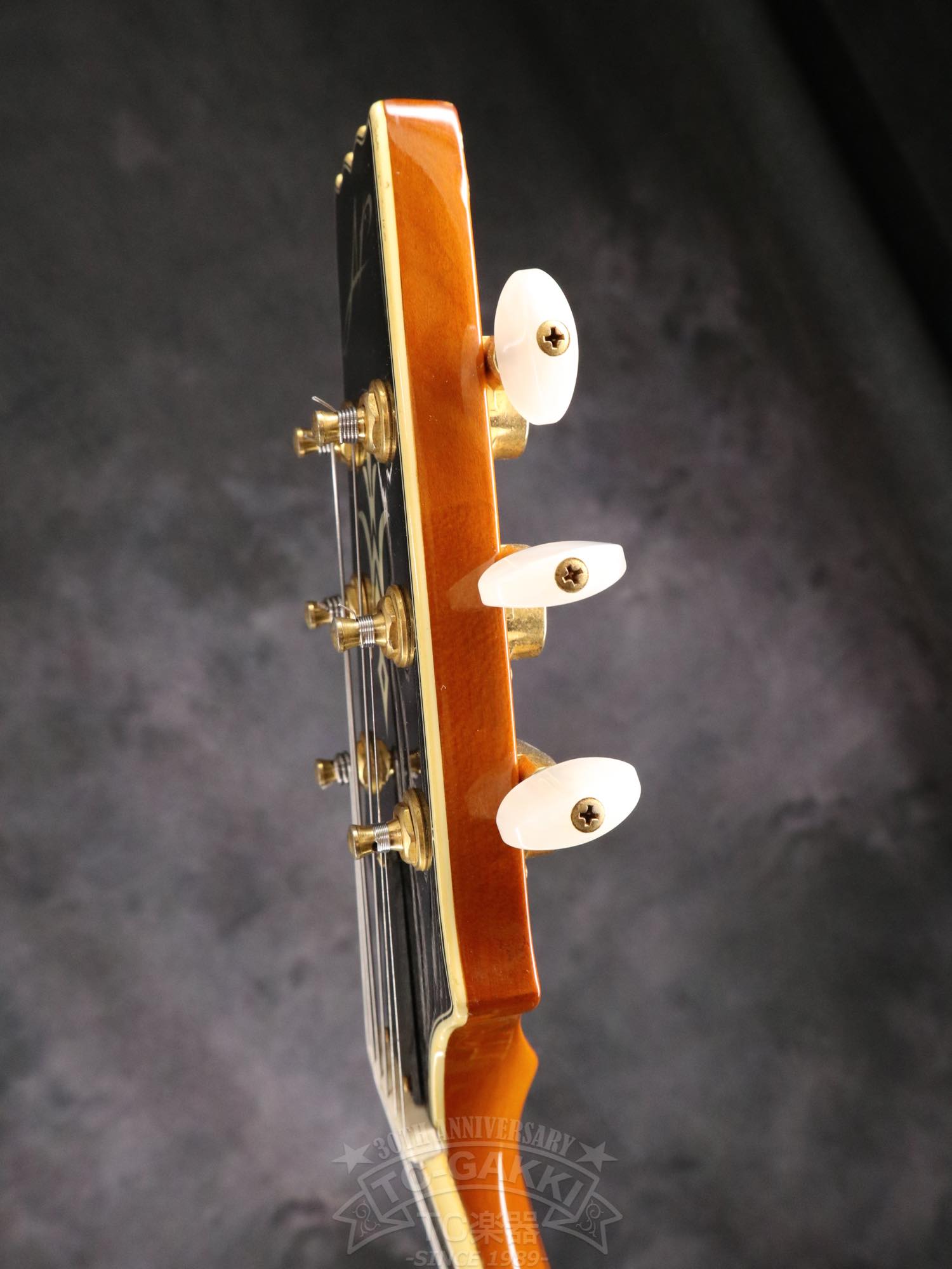 Aria Custom Shop AP-FA03