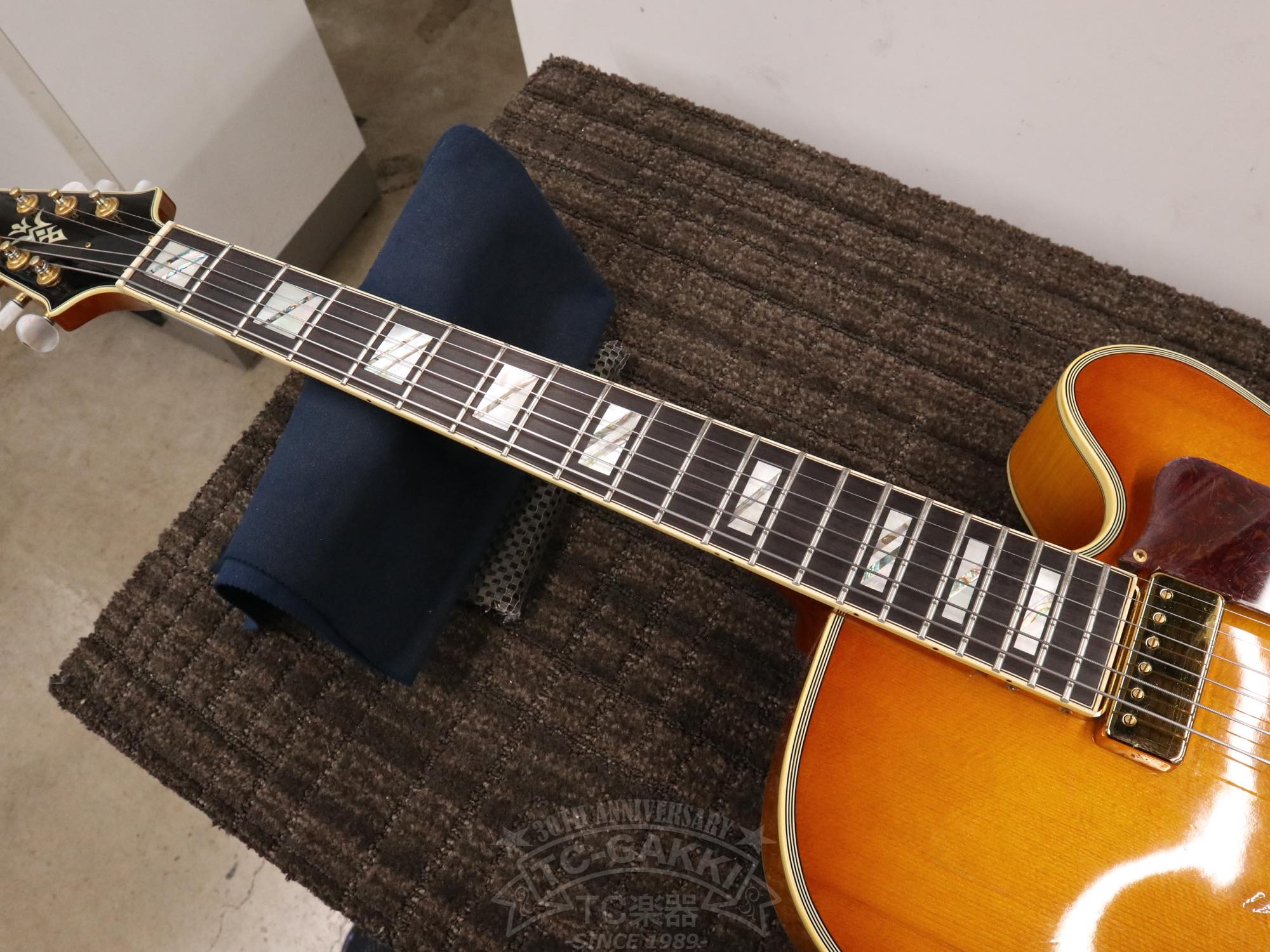 Aria Custom Shop AP-FA03