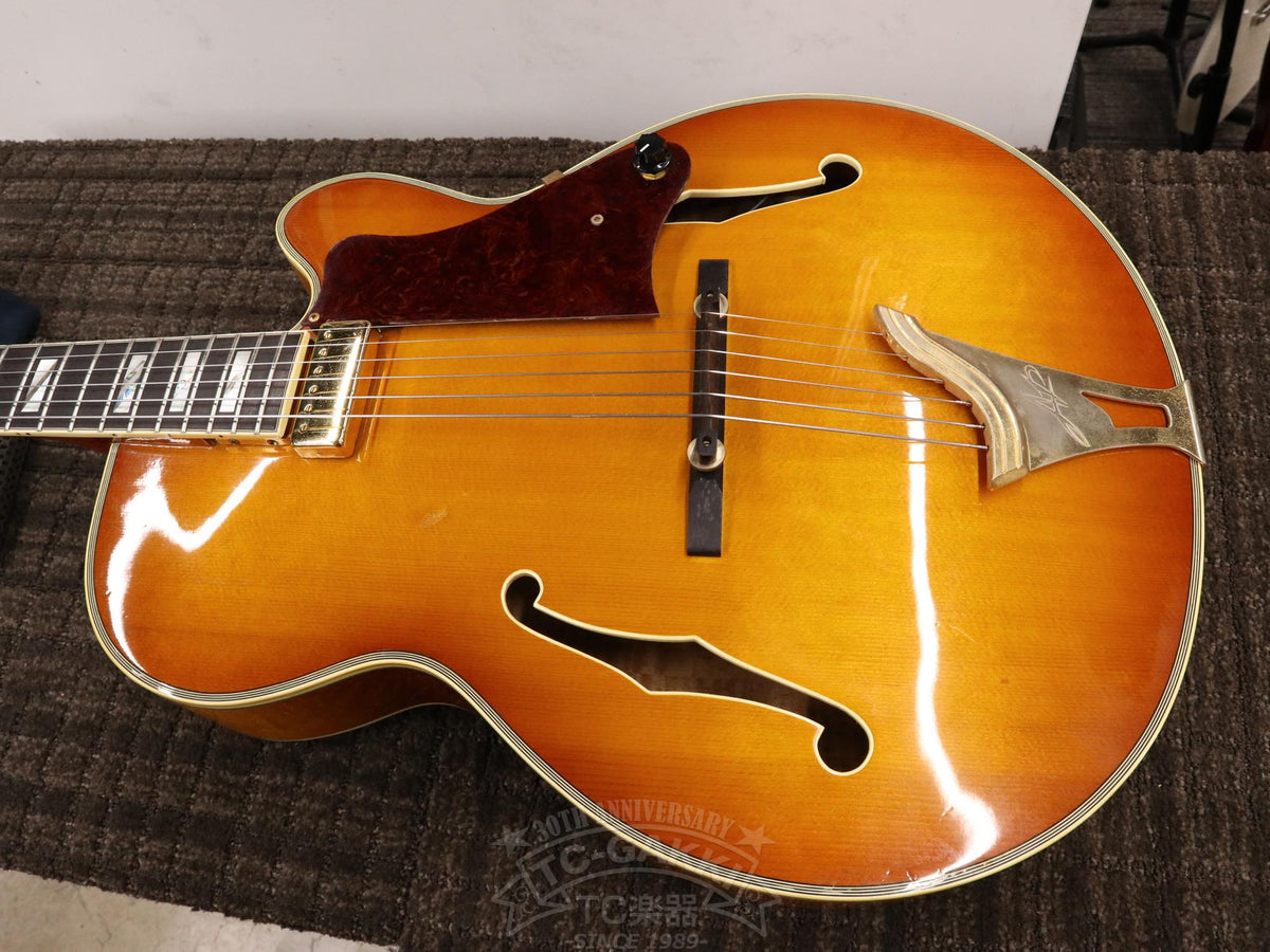 Aria Custom Shop AP-FA03