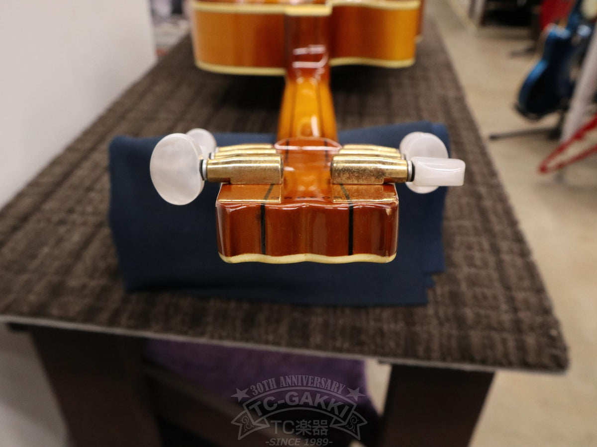 Aria Custom Shop AP-FA03