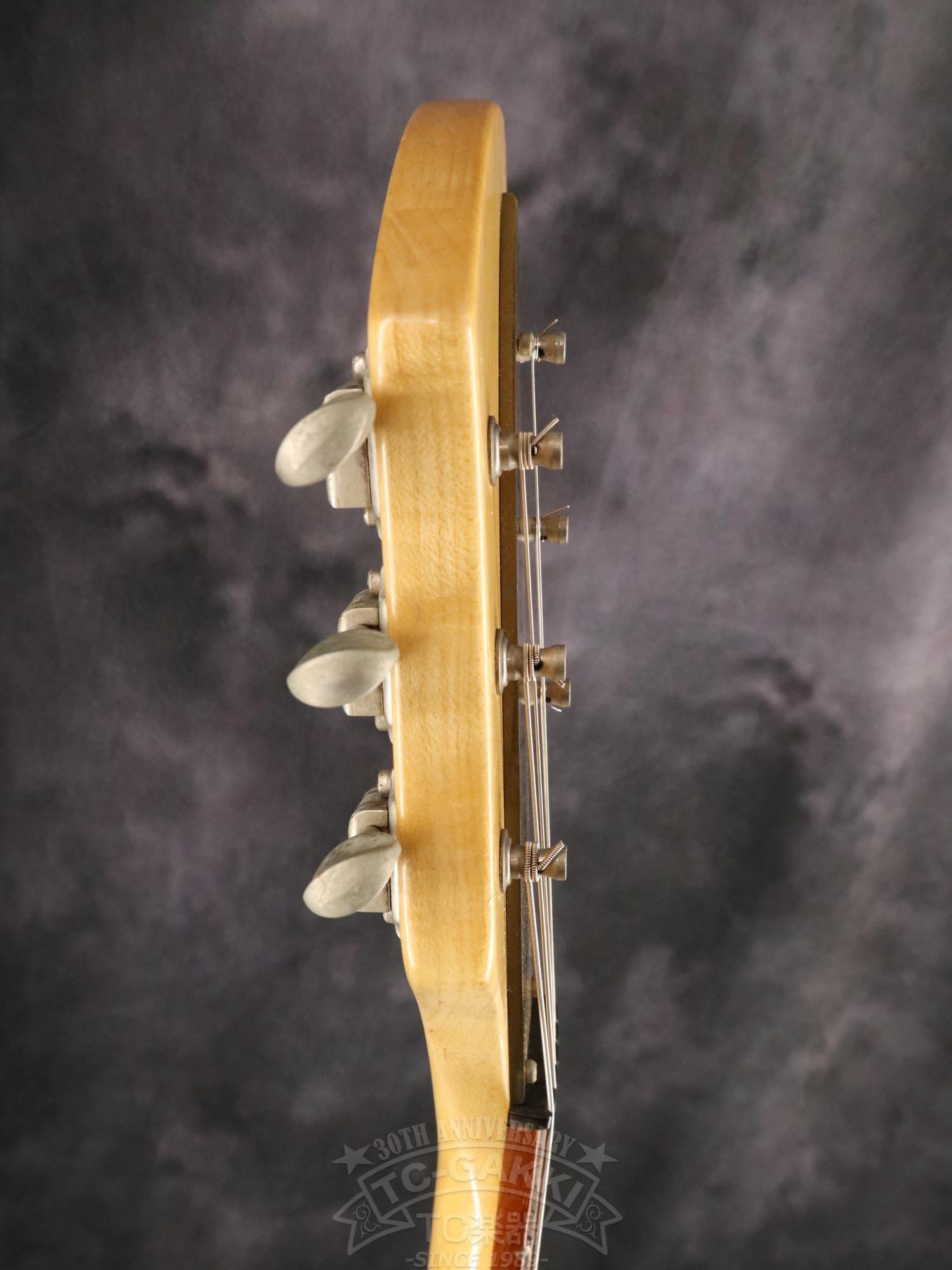 Rickenbacker 325V59