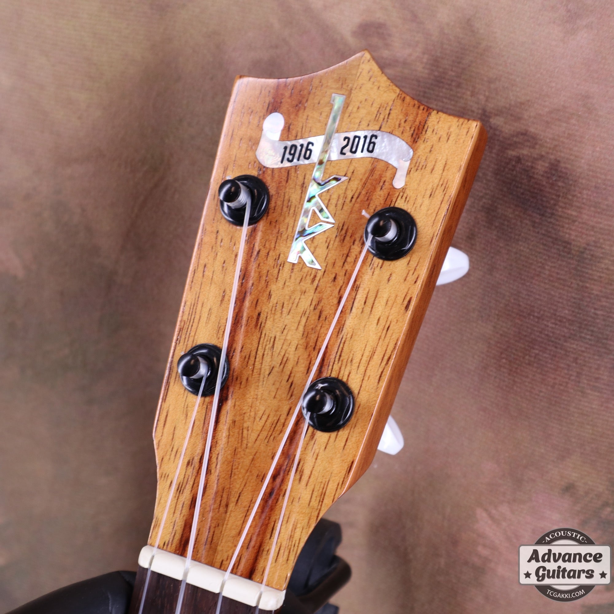 2016年製 HF-1 100周年記念