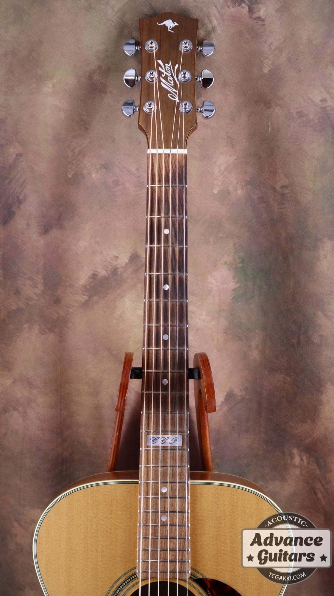 2017年製 EBG808 TE (Tommy EMMANUEZL)