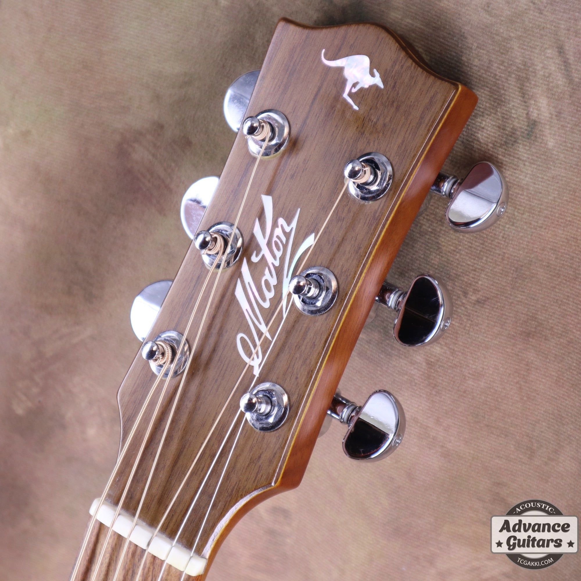 2017年製 EBG808 TE (Tommy EMMANUEZL)