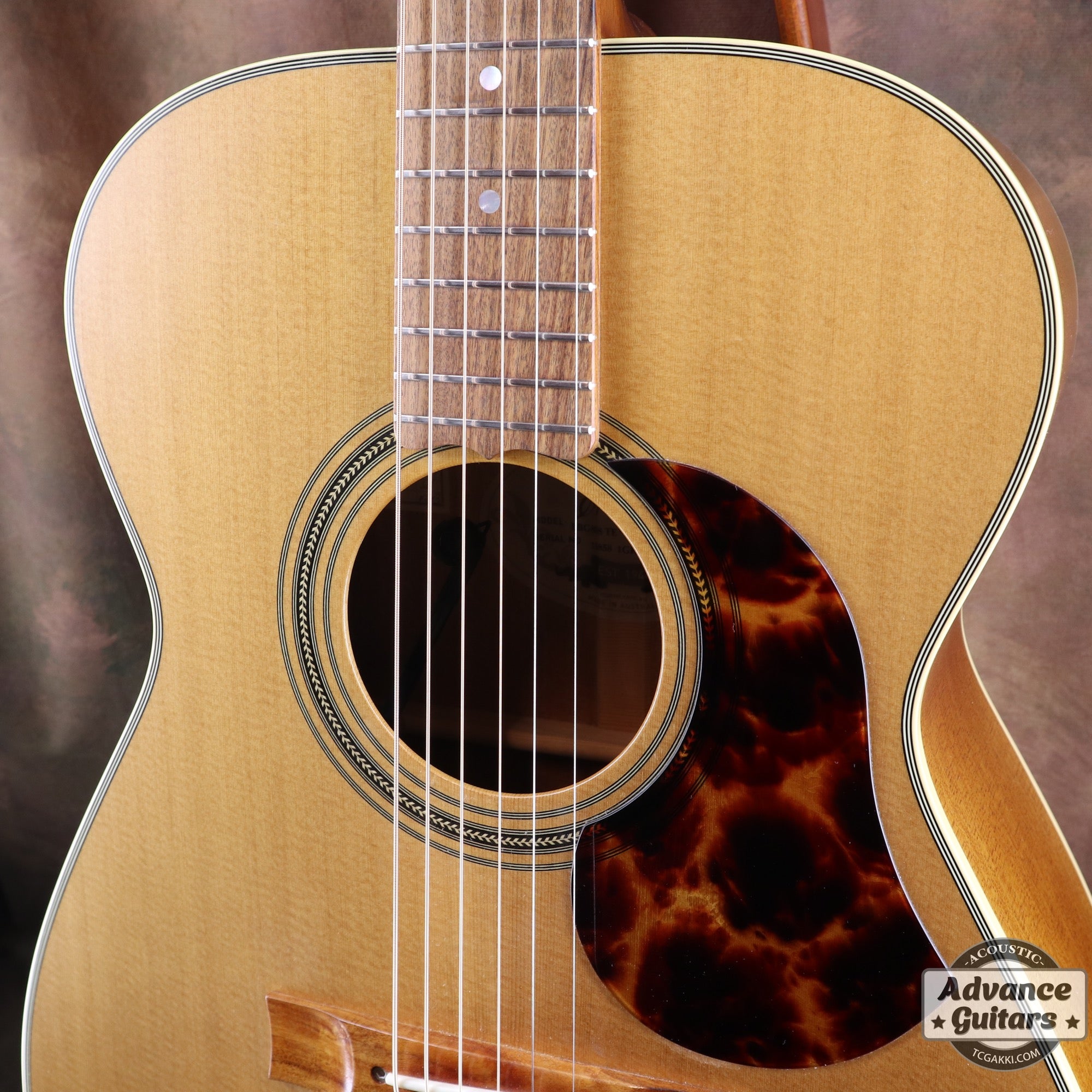 2017年製 EBG808 TE (Tommy EMMANUEZL)