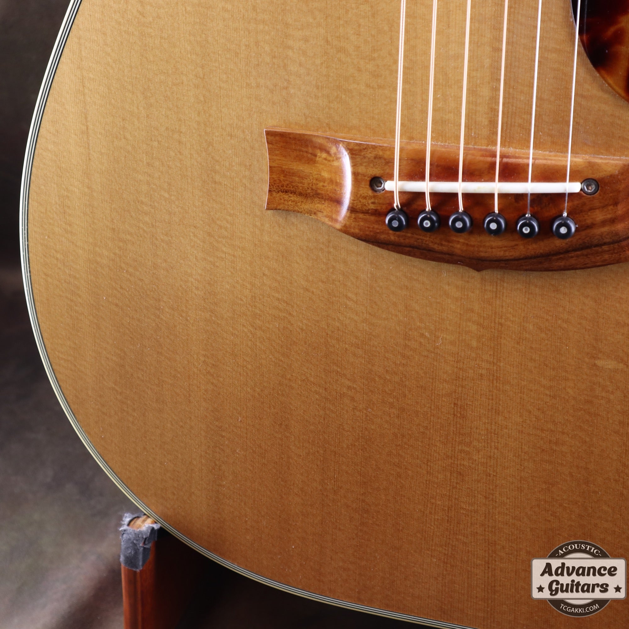 2017年製 EBG808 TE (Tommy EMMANUEZL)