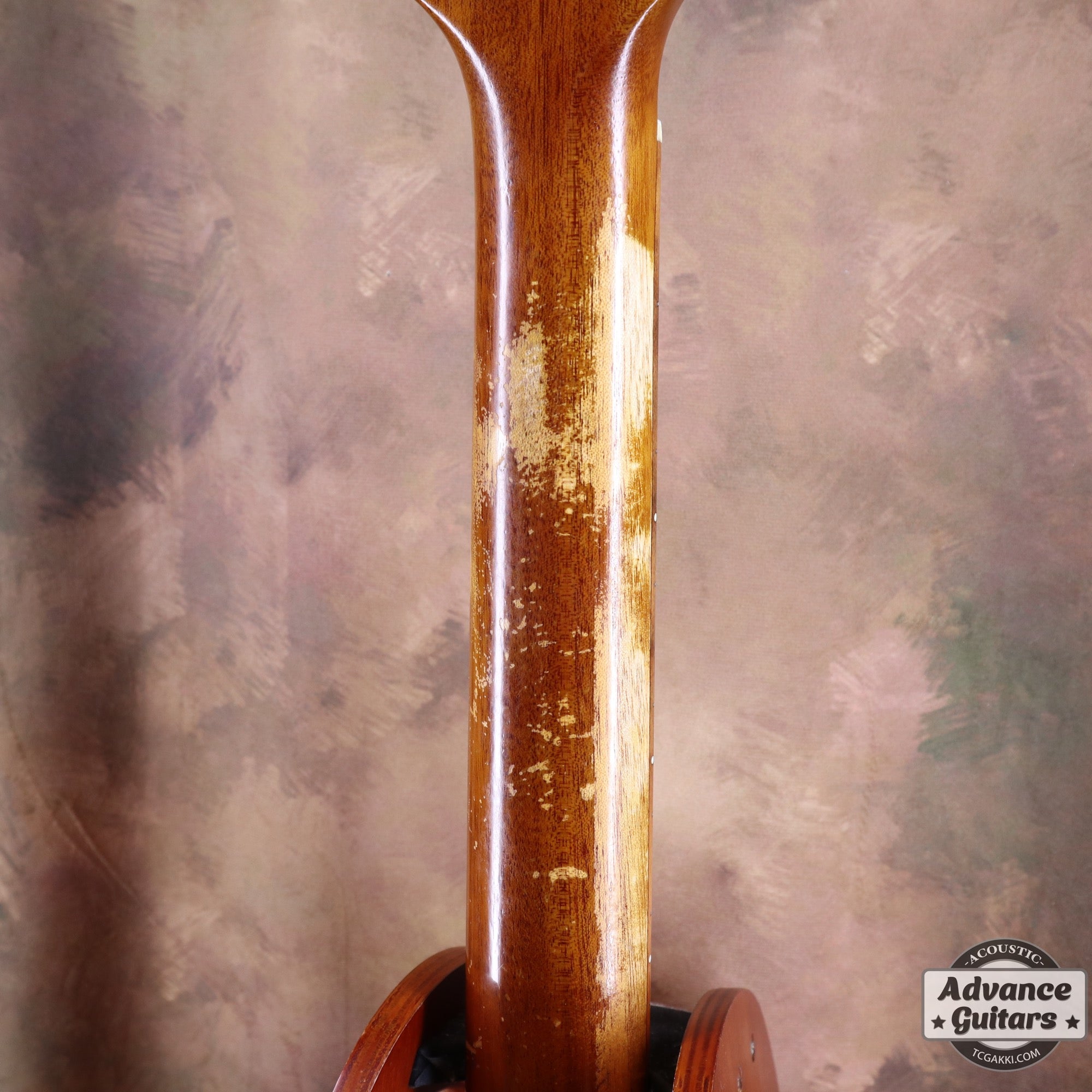 2017年製 EBG808 TE (Tommy EMMANUEZL)