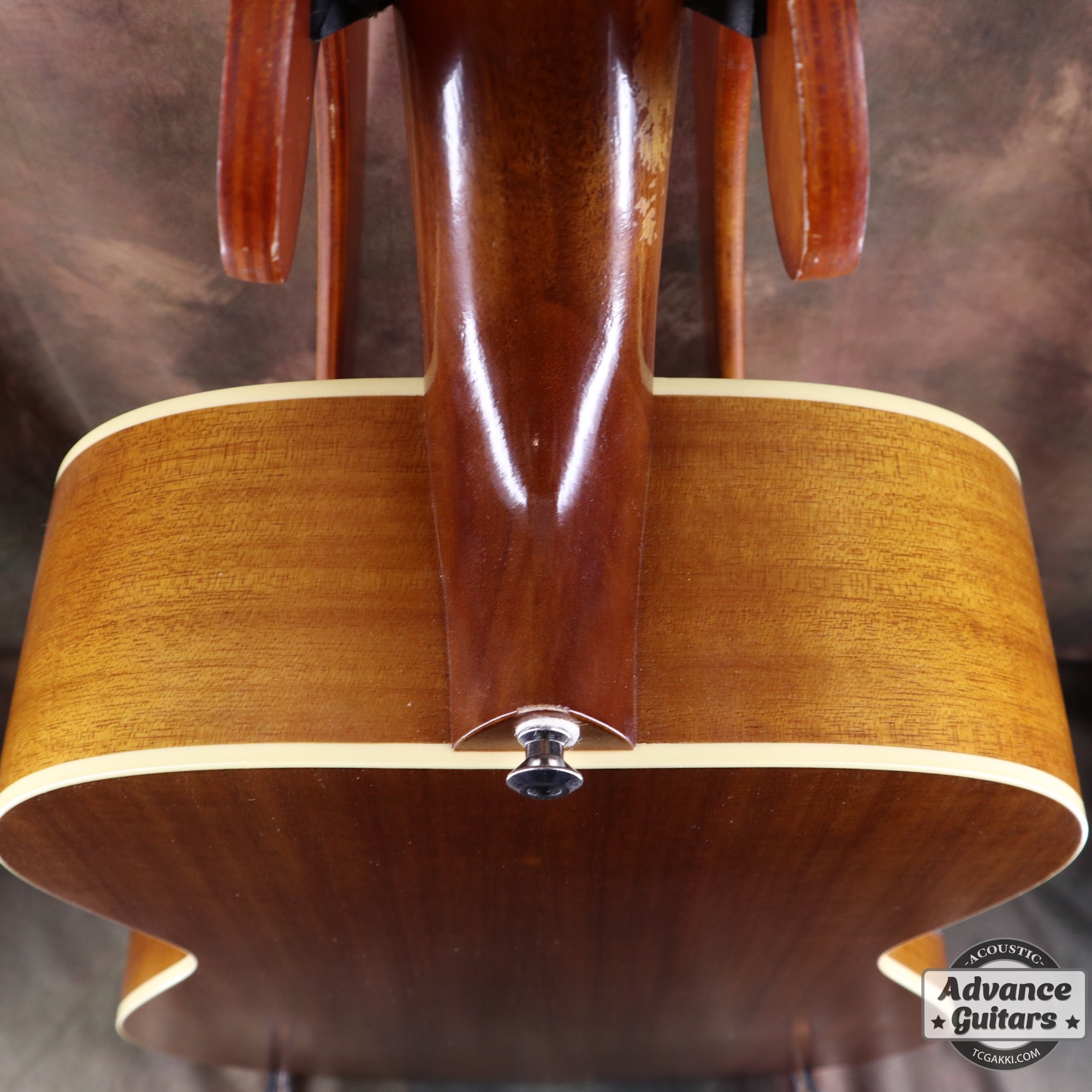 2017年製 EBG808 TE (Tommy EMMANUEZL)