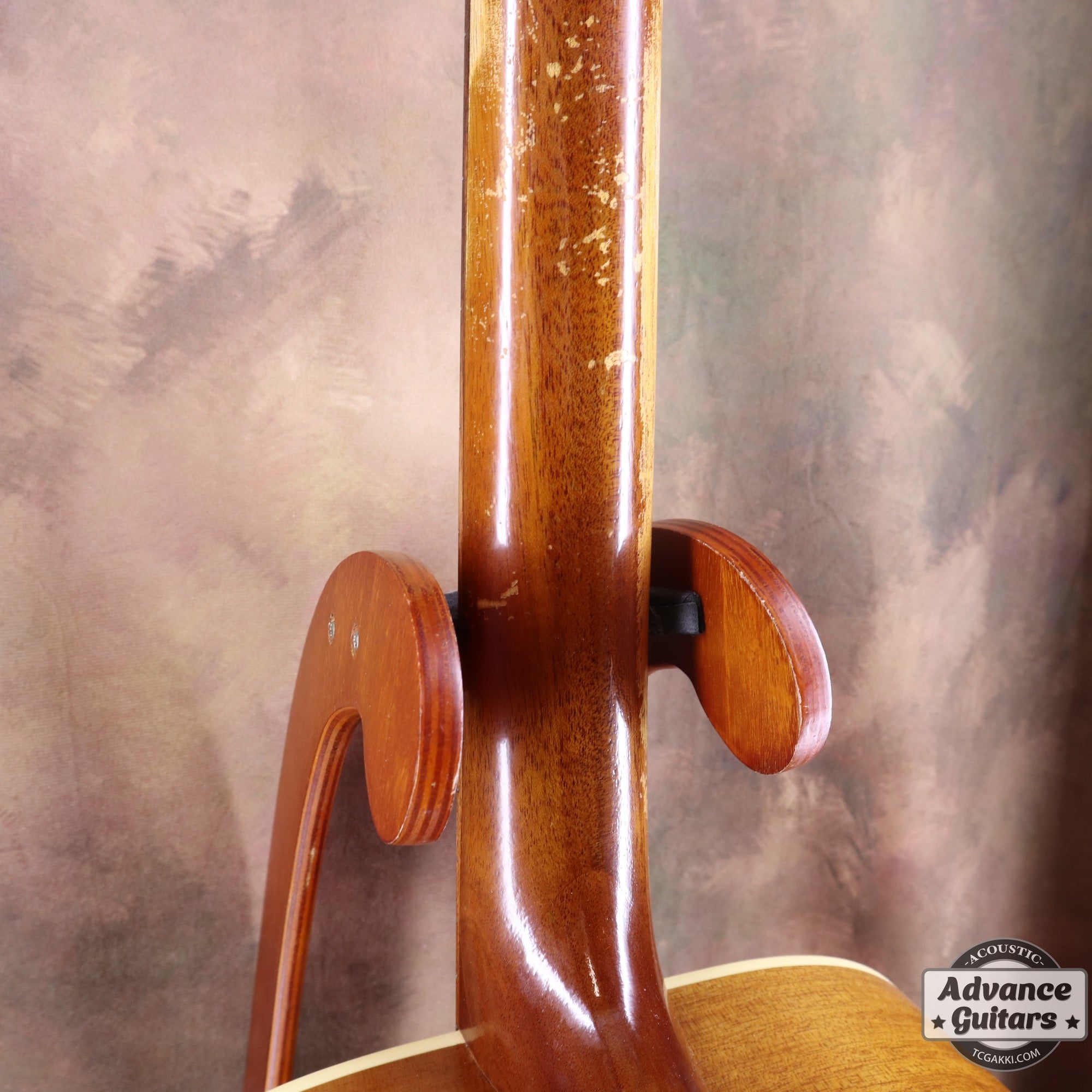 2017年製 EBG808 TE (Tommy EMMANUEZL)