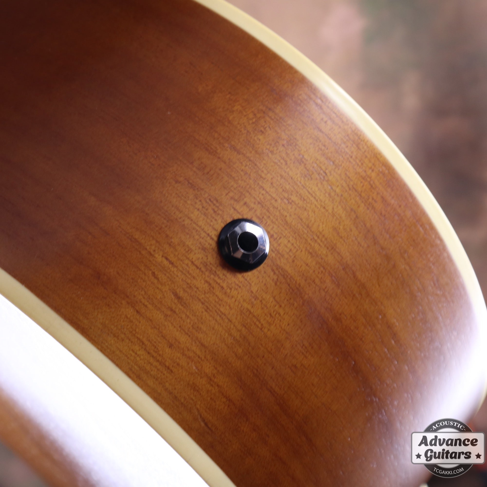 2017年製 EBG808 TE (Tommy EMMANUEZL)