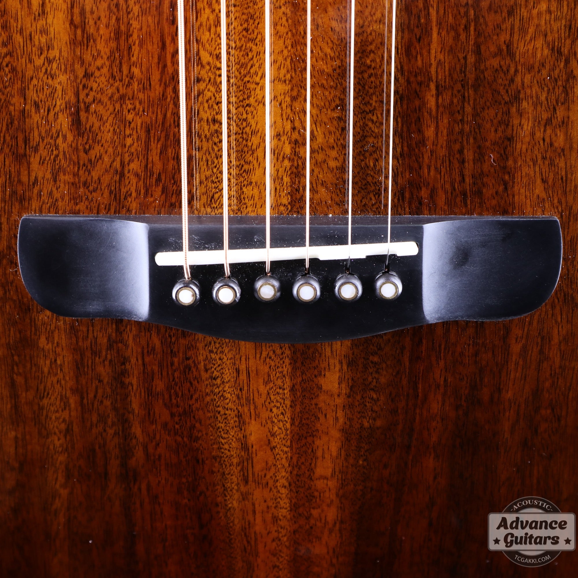 【新品】2026年製 Scar-EQ