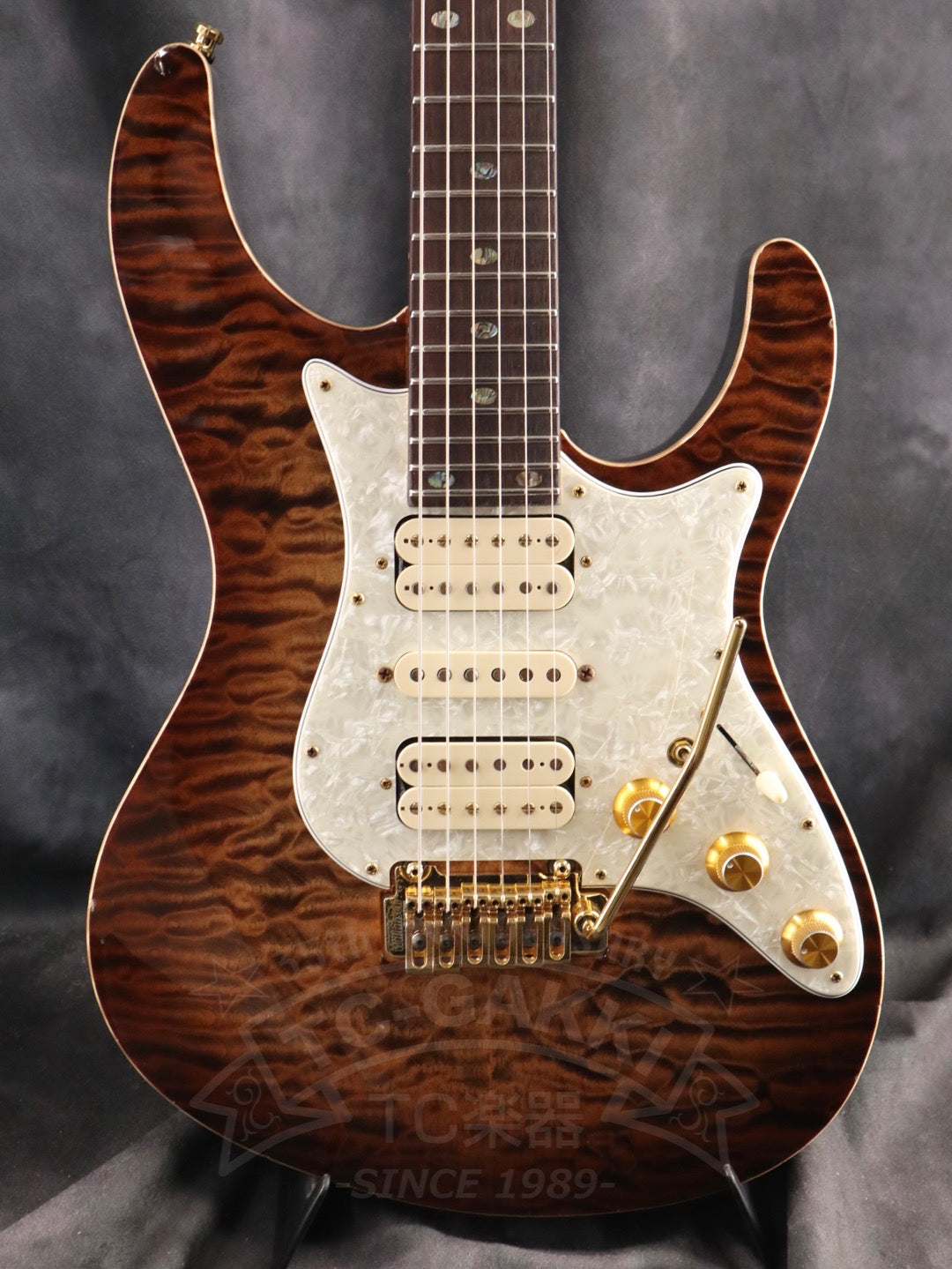 Freedom Custom Guitar Research HYDRA 2point-24F