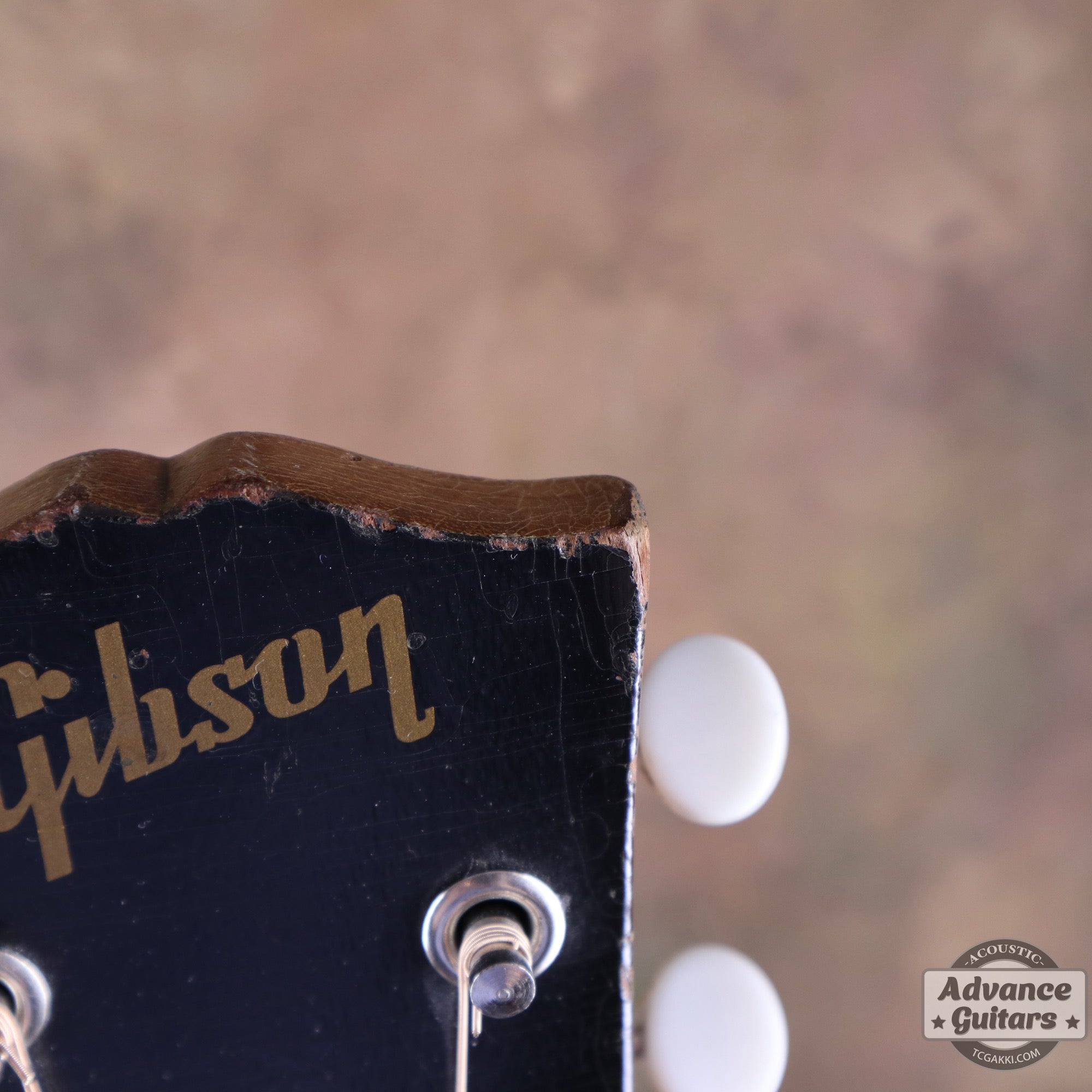 Gibson 1966年製 LG-0