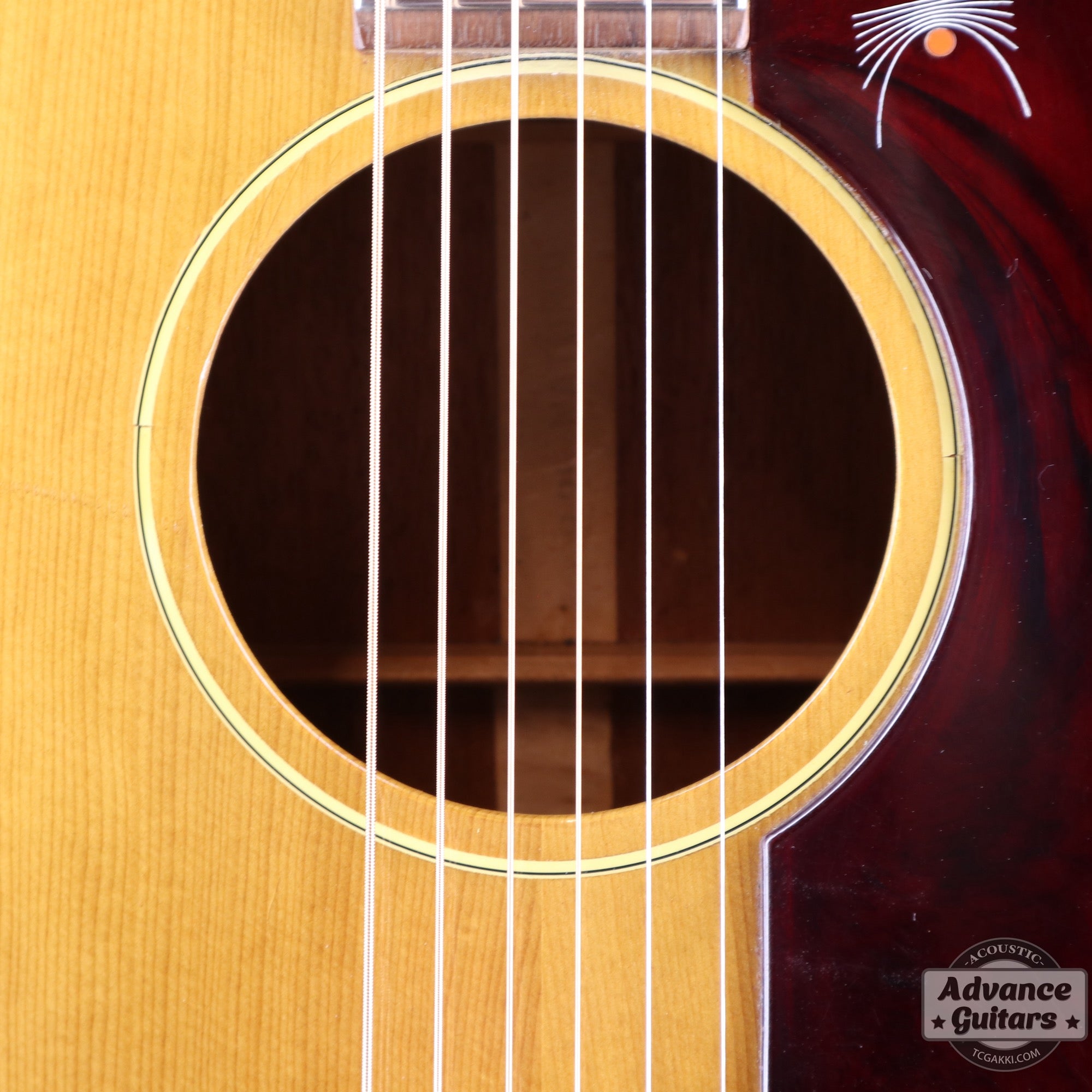 Gibson 1965年製 B-25