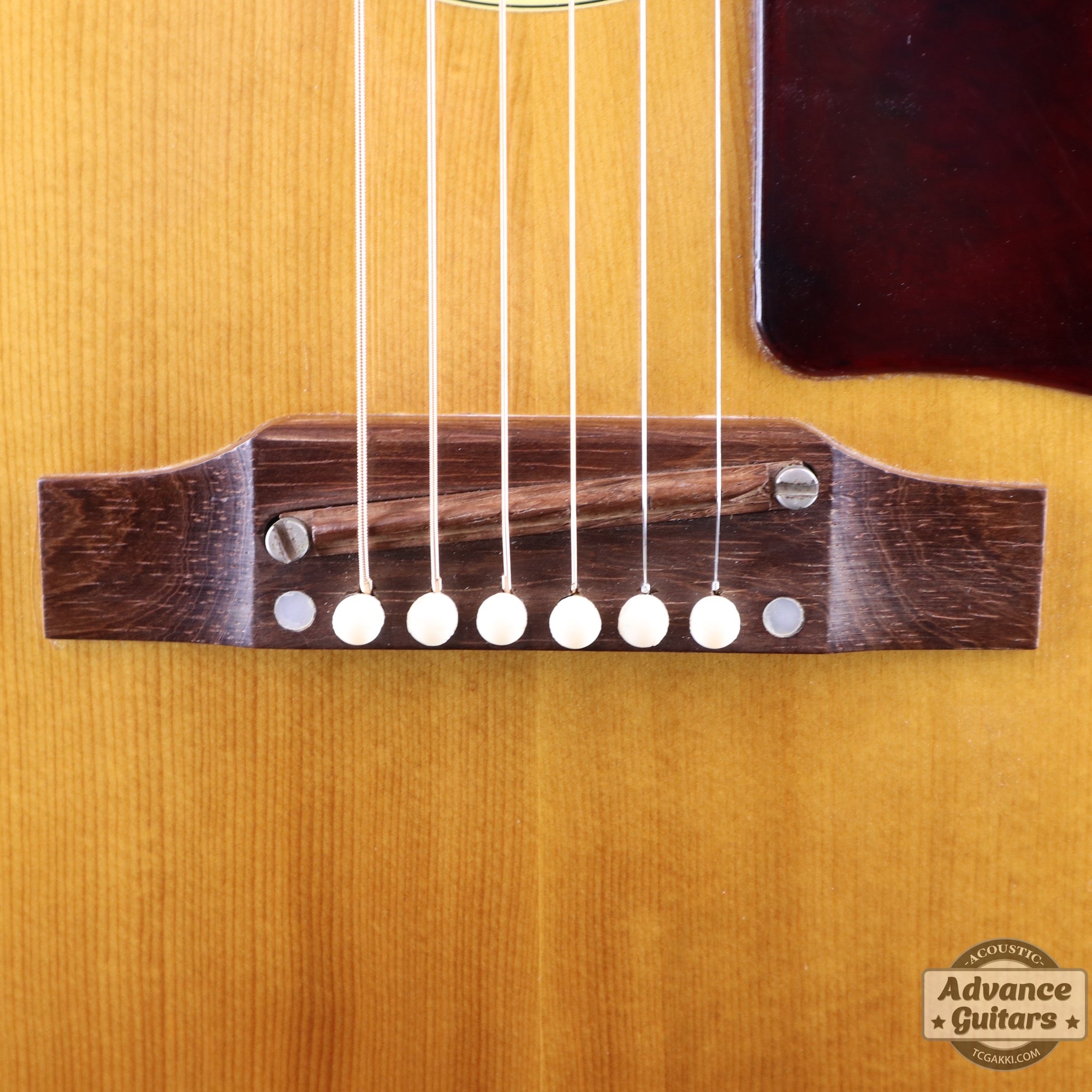 Gibson 1965年製 B-25