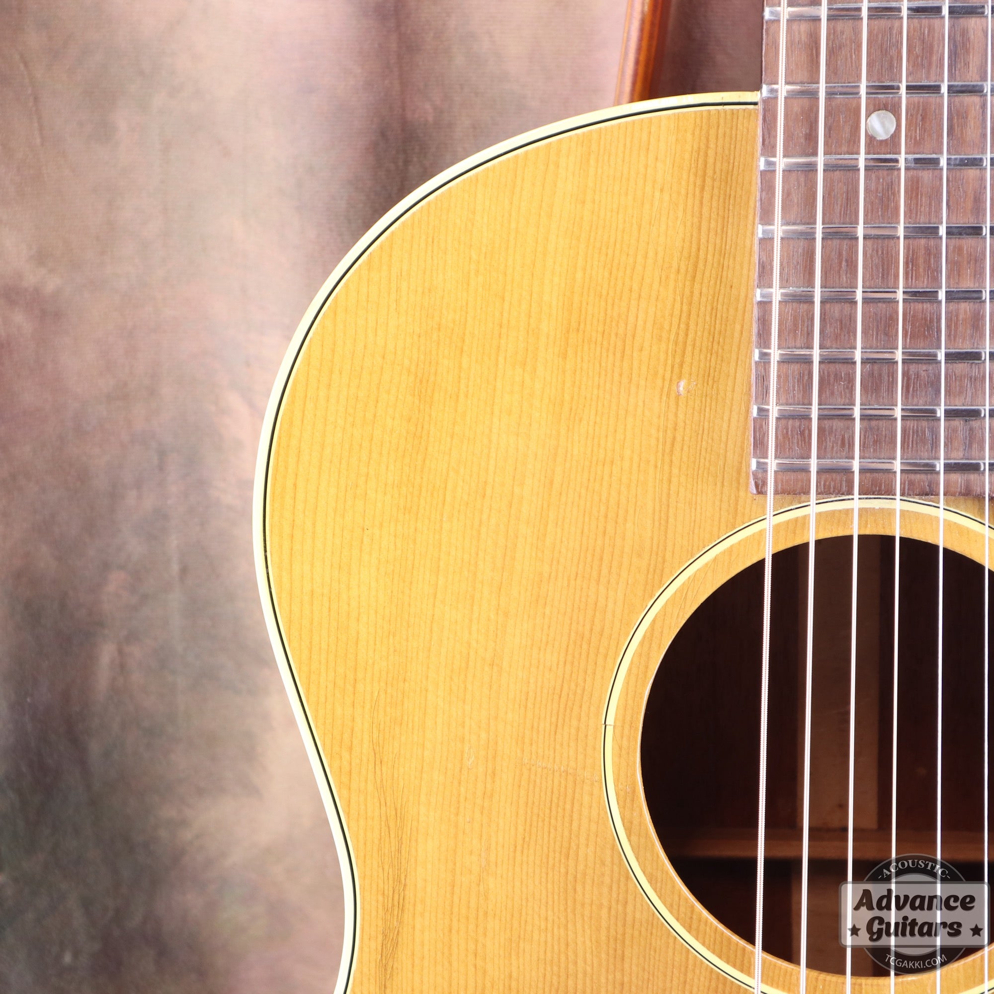 Gibson 1965年製 B-25
