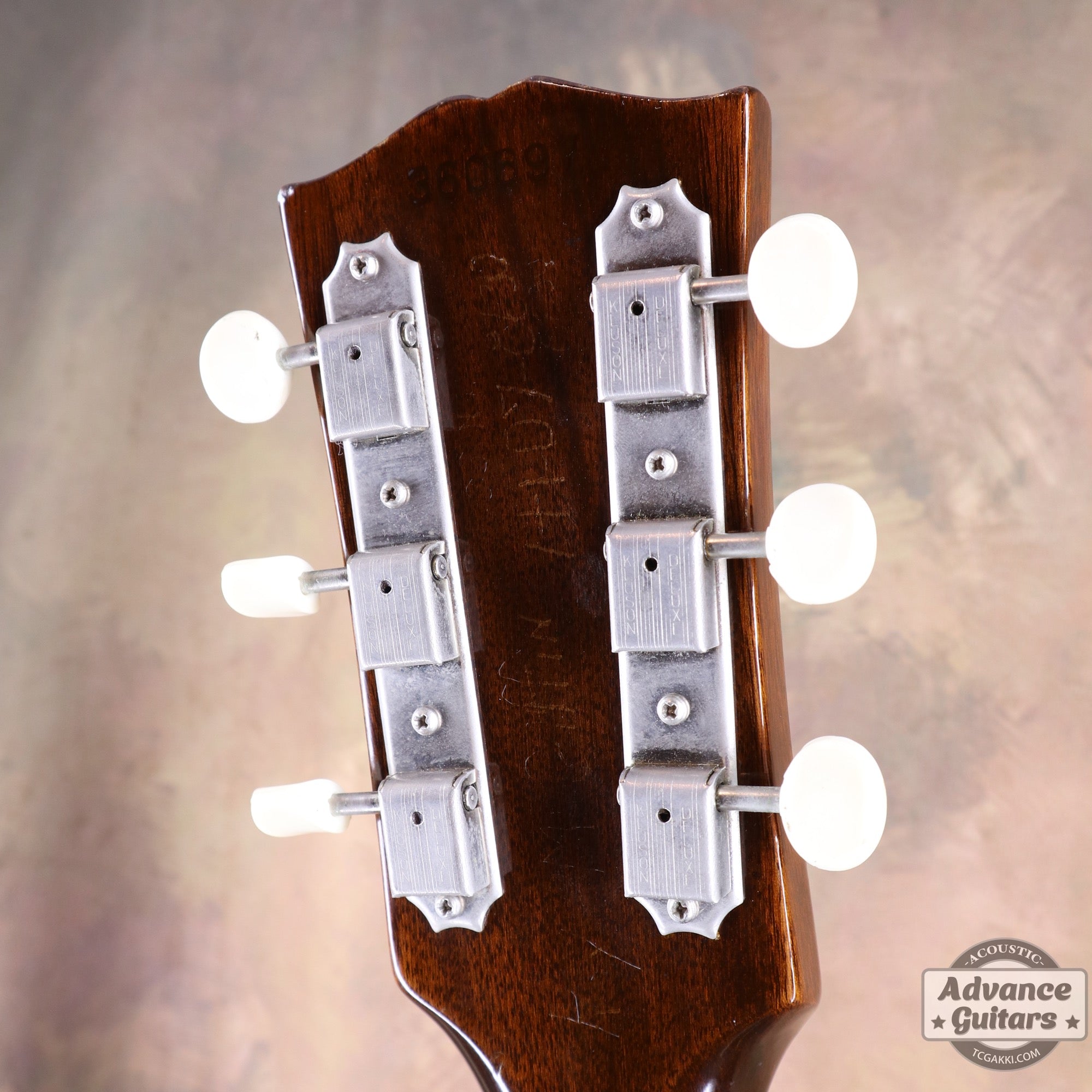 Gibson 1965年製 B-25