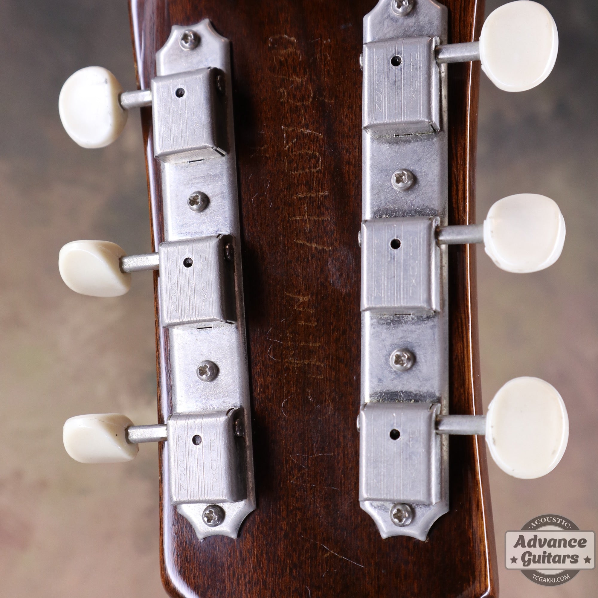 Gibson 1965年製 B-25