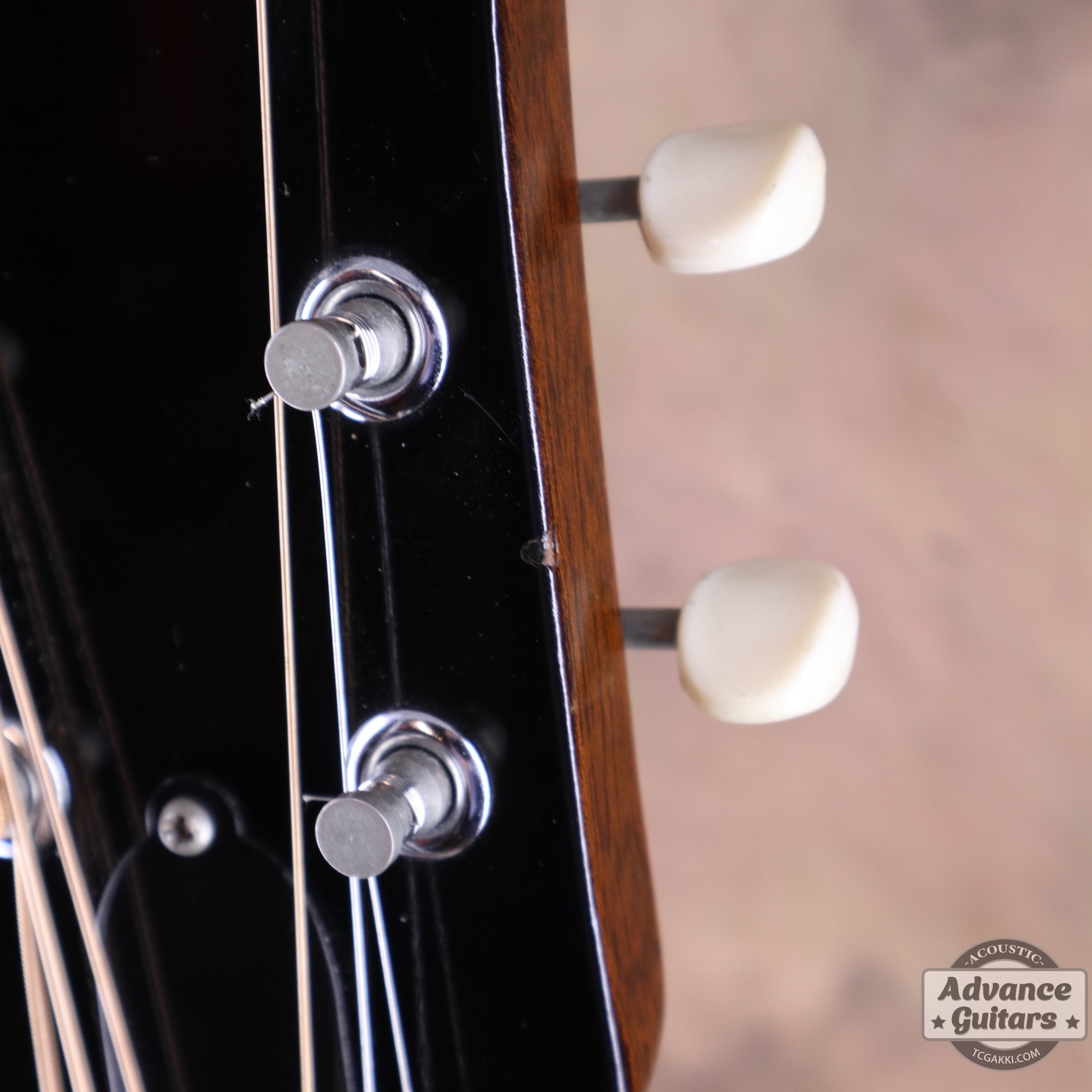 Gibson 1965年製 B-25