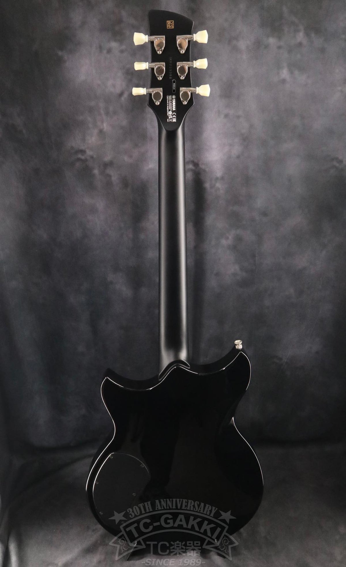 YAMAHA RSE20