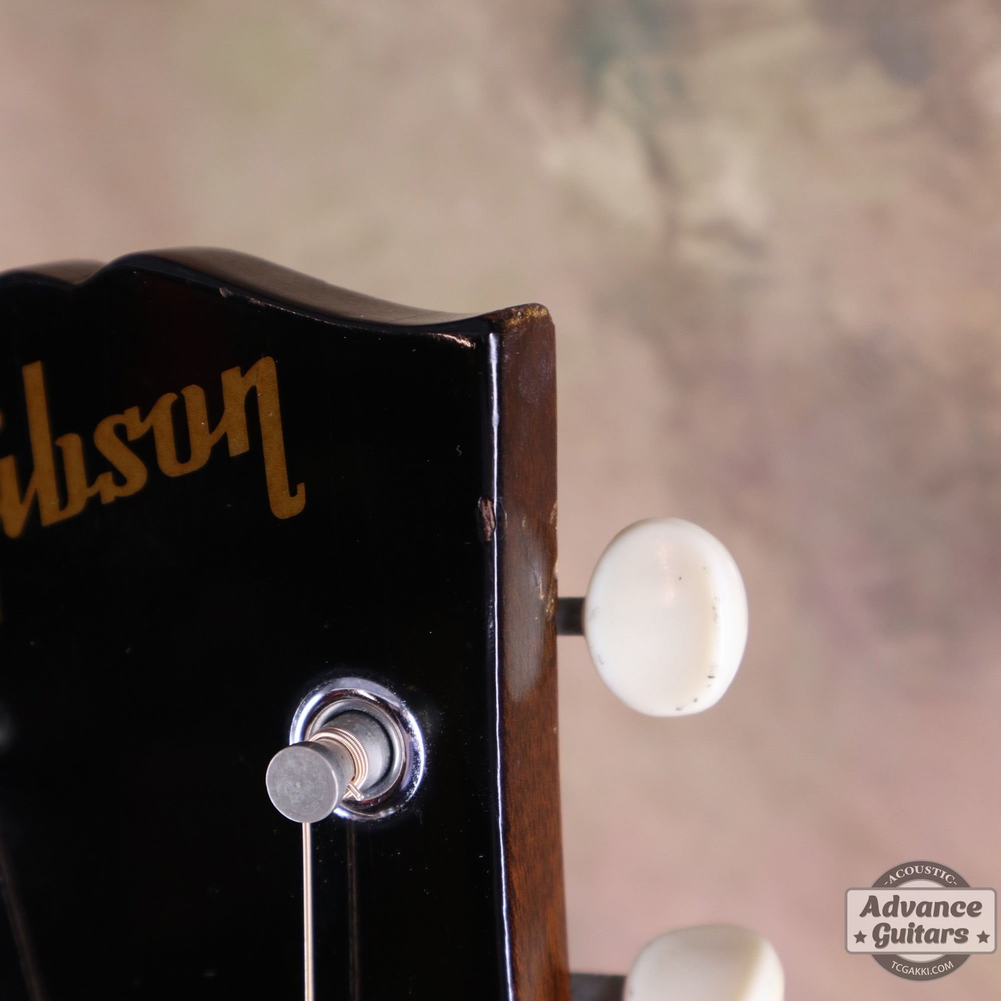 Gibson 1965年製 B-25