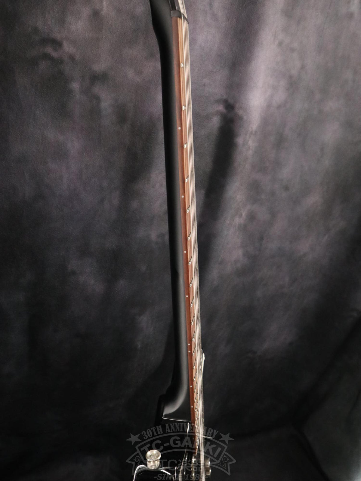 YAMAHA RSE20
