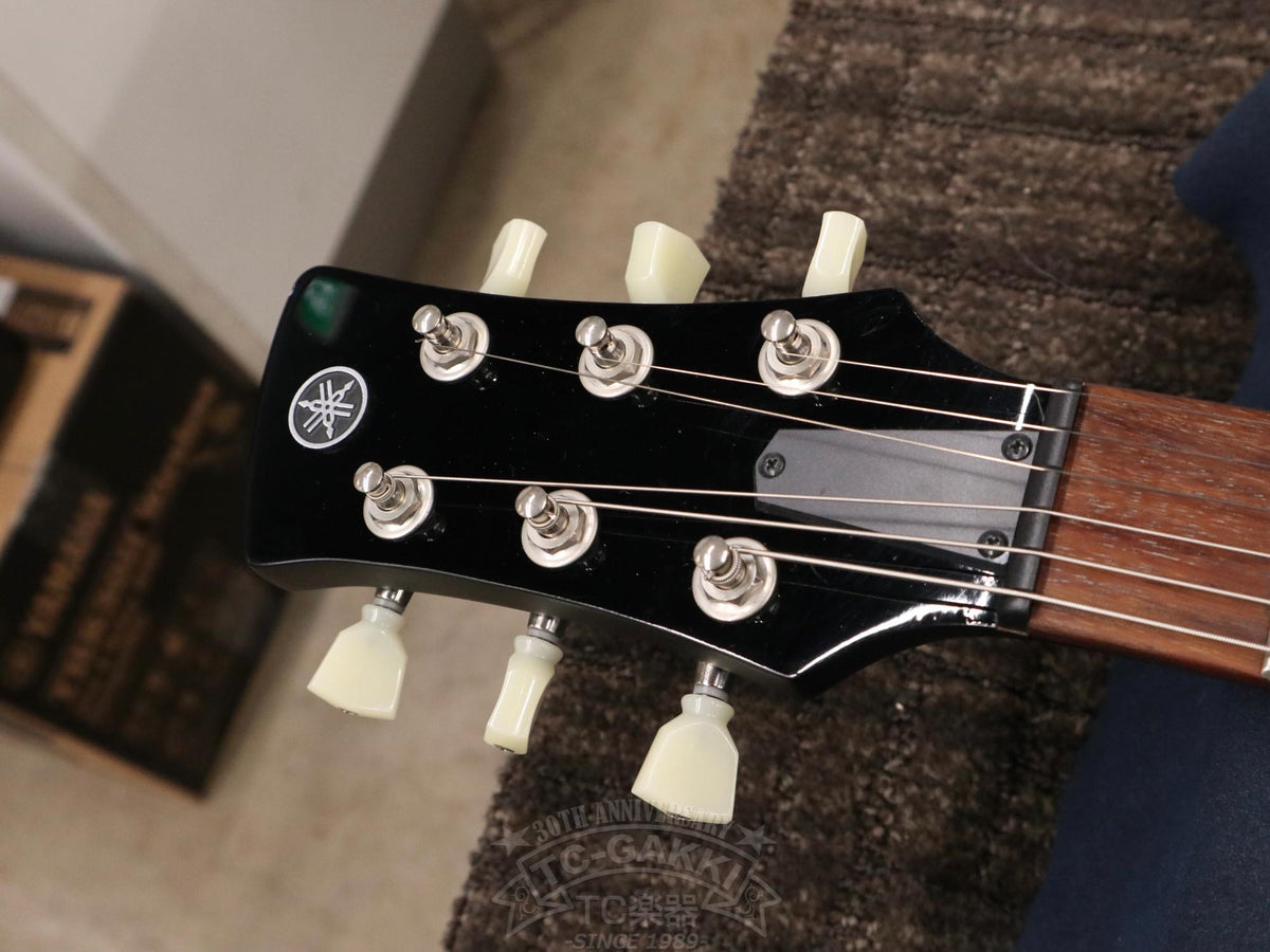 YAMAHA RSE20