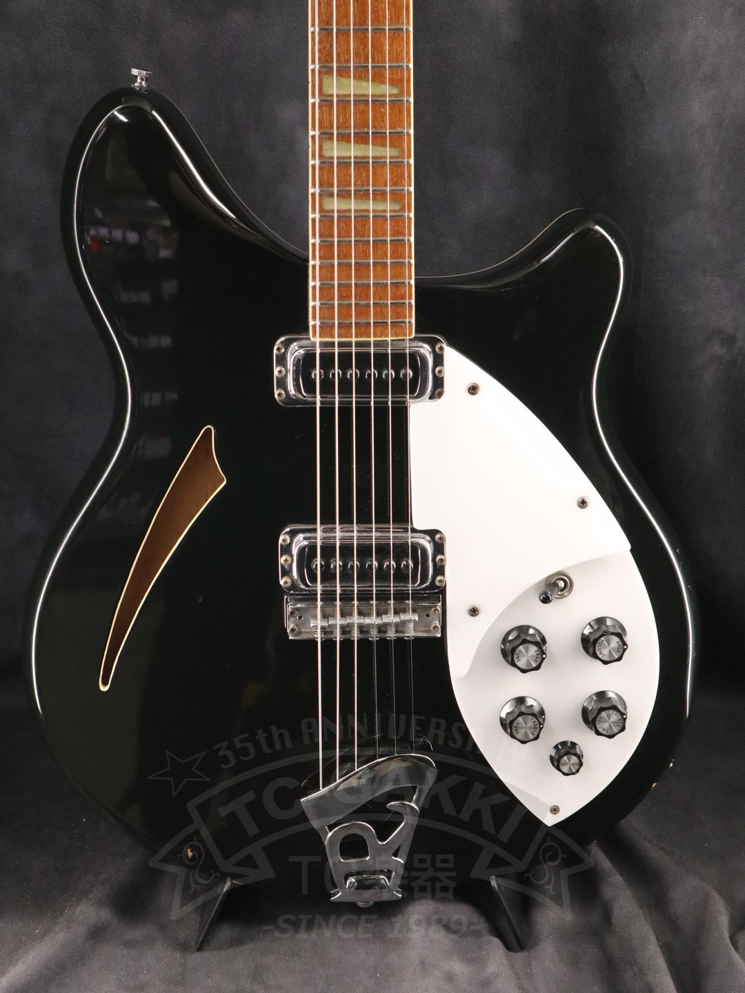 Rickenbacker 360