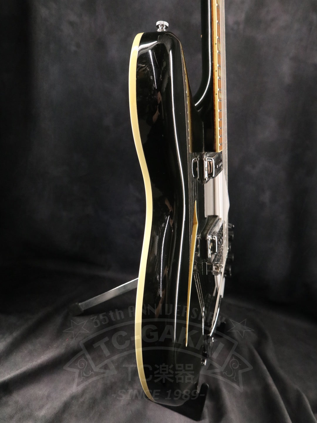 Rickenbacker 360