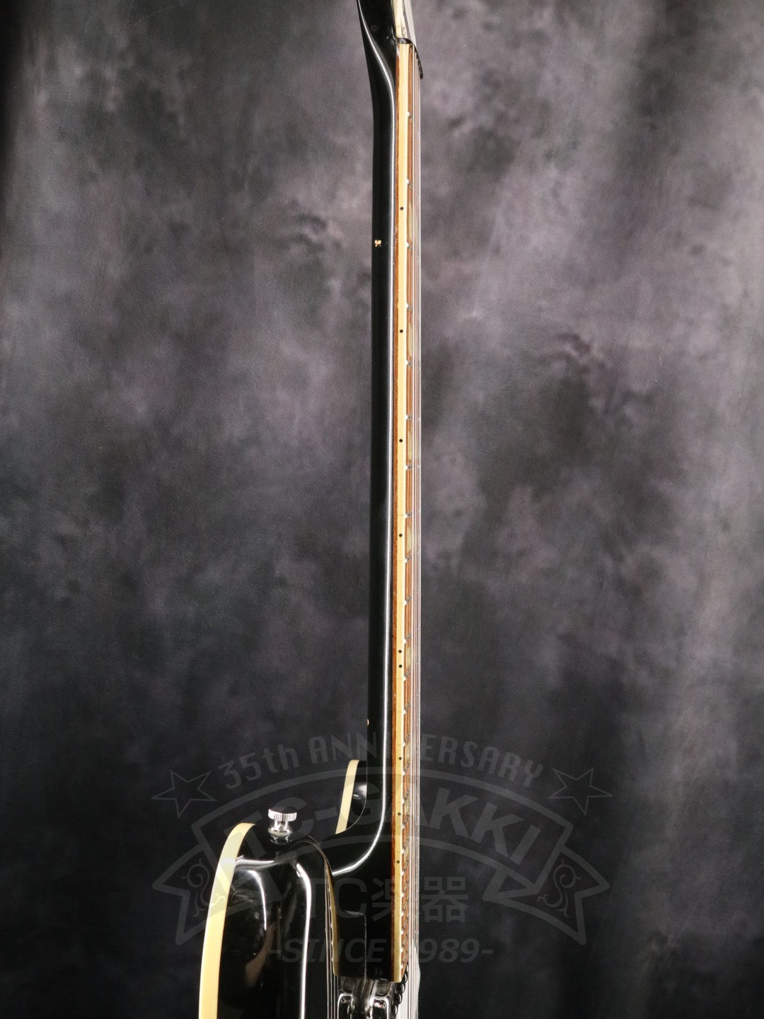 Rickenbacker 360