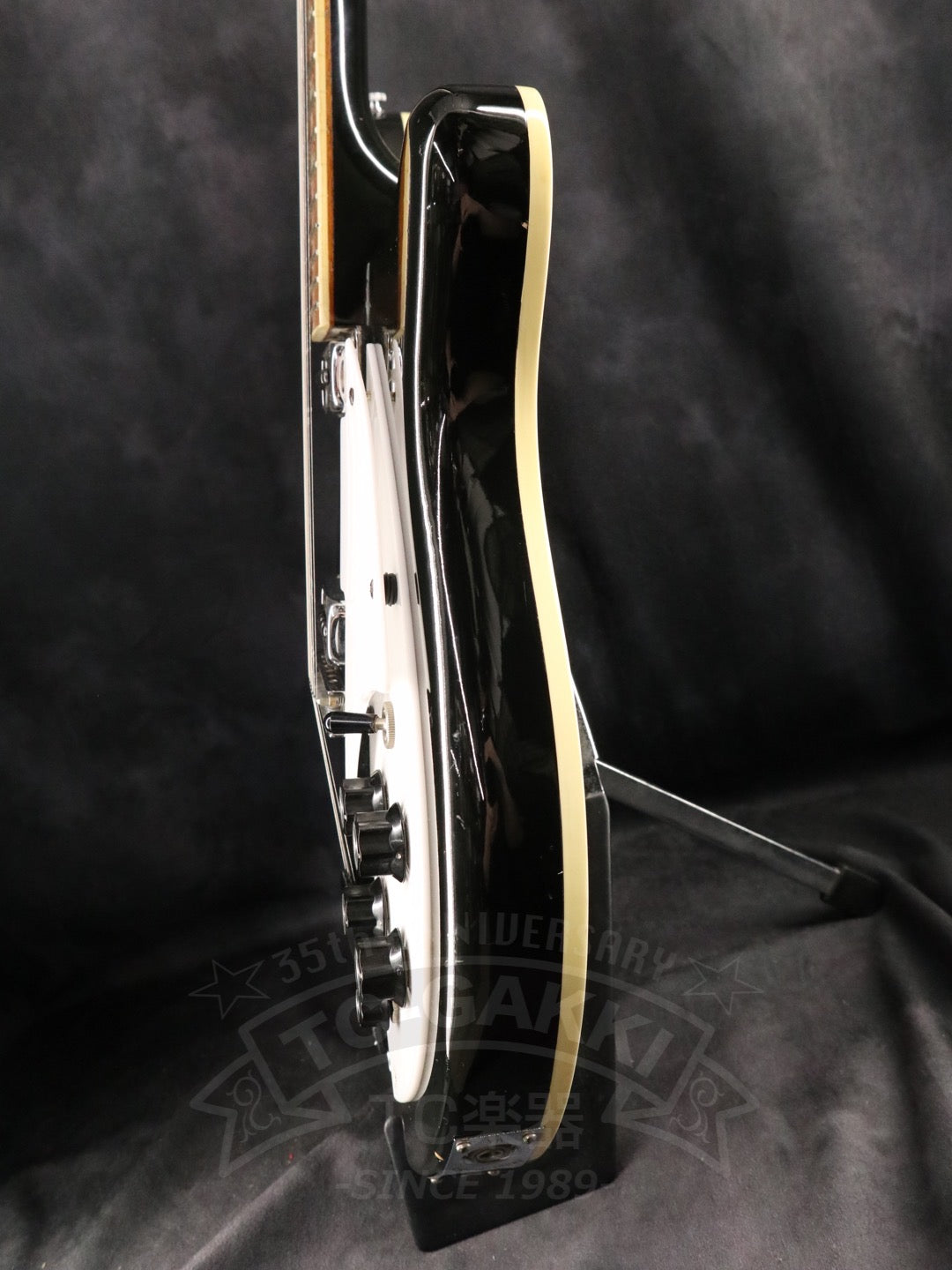 Rickenbacker 360