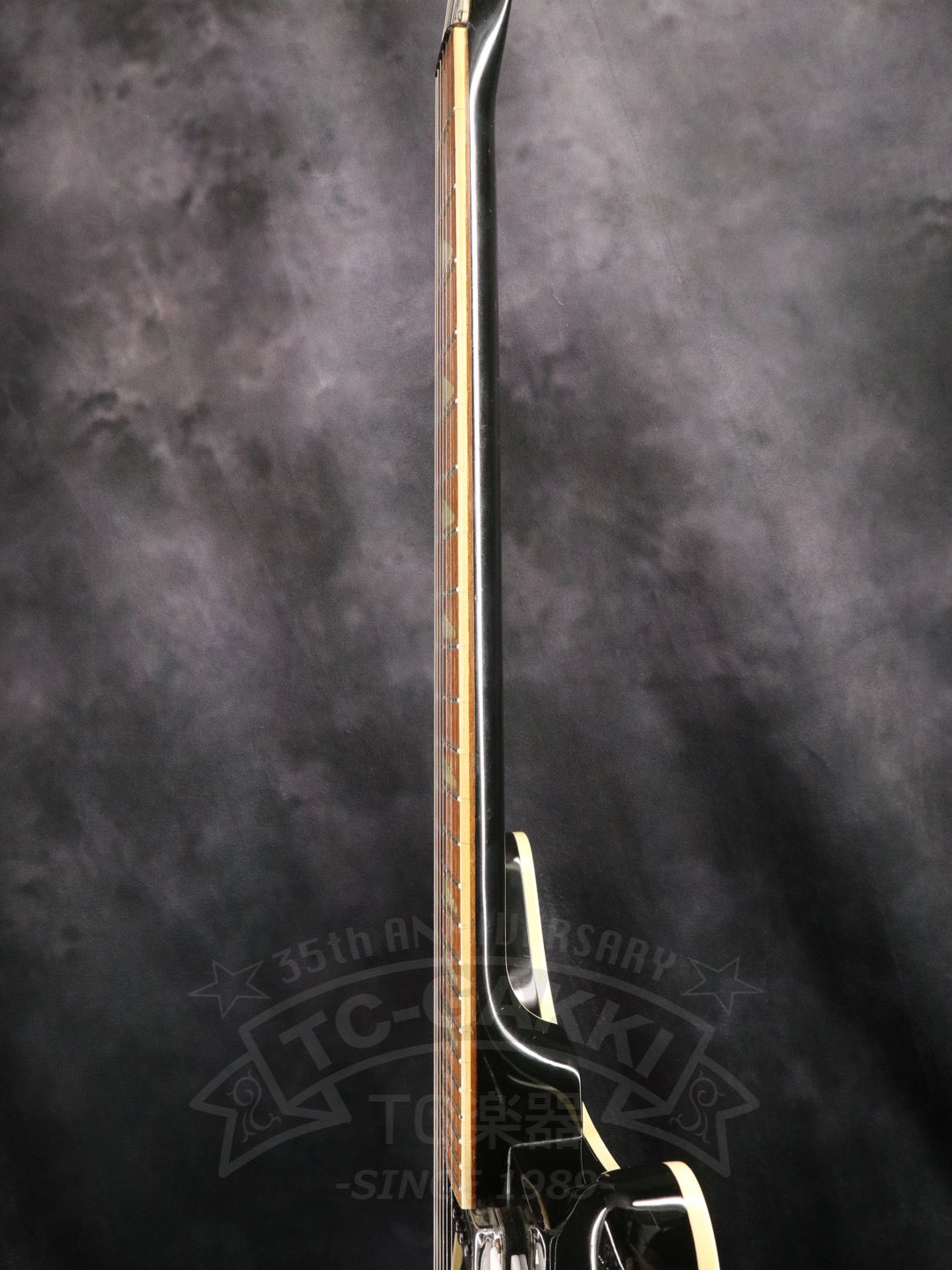 Rickenbacker 360