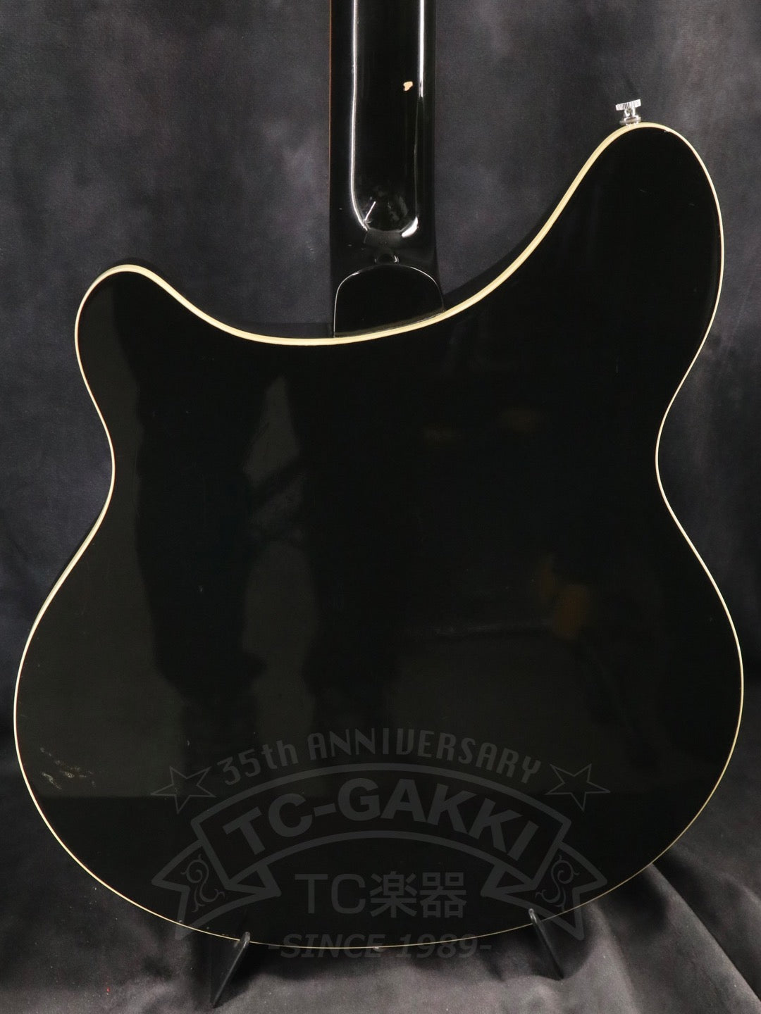 Rickenbacker 360