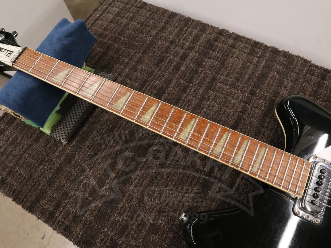 Rickenbacker 360
