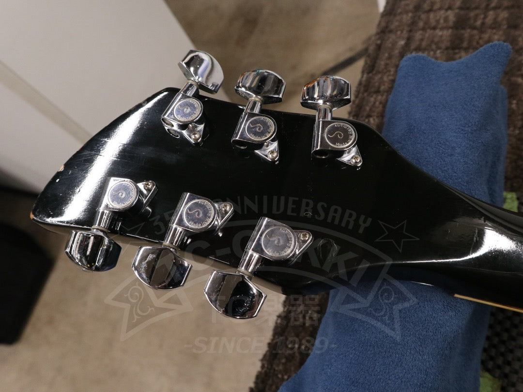 Rickenbacker 360
