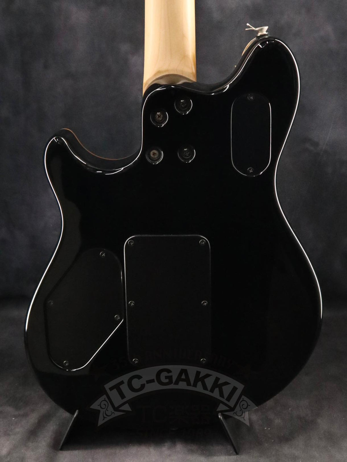 PEAVEY Wolfgang Special