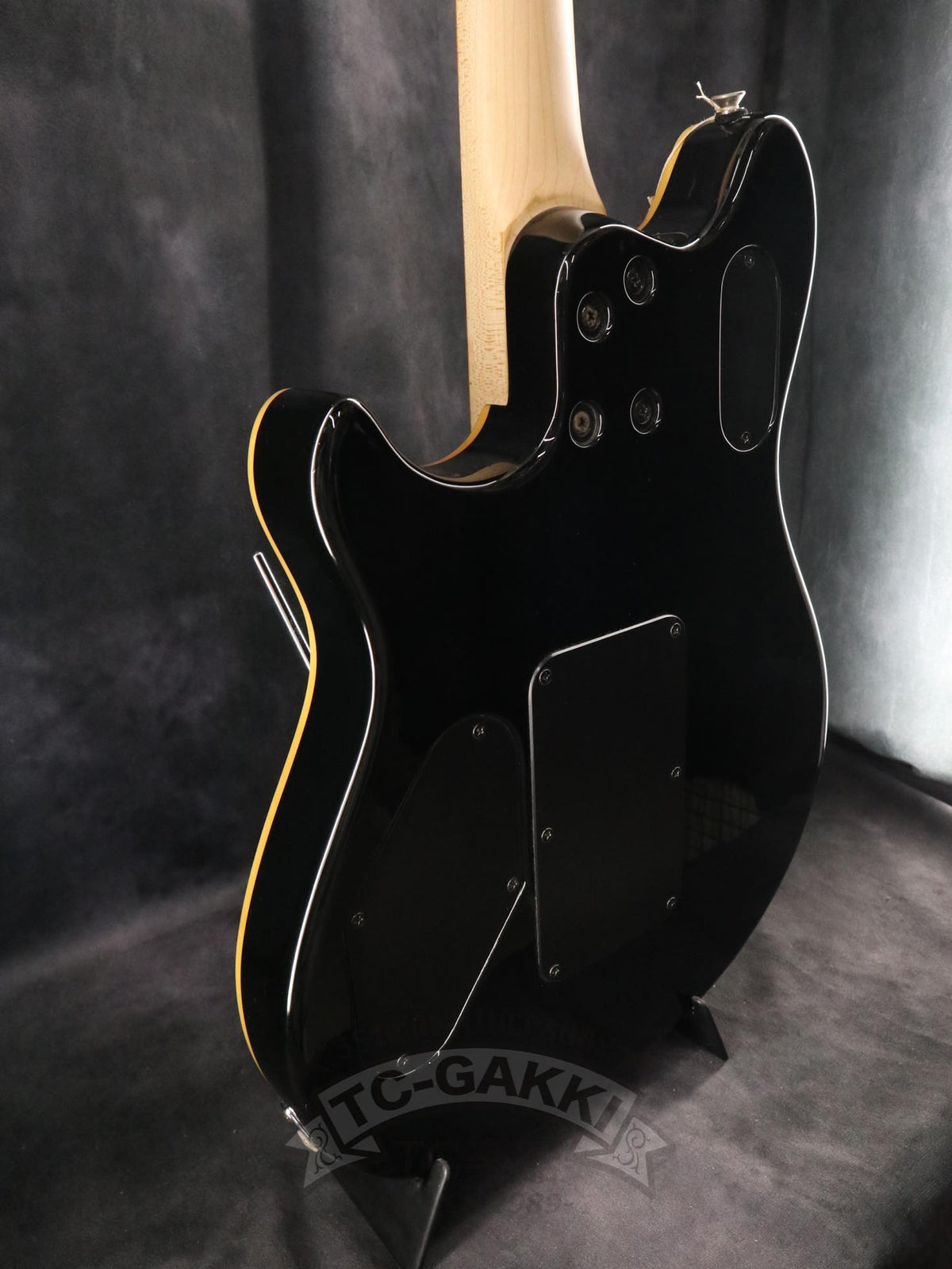 PEAVEY Wolfgang Special