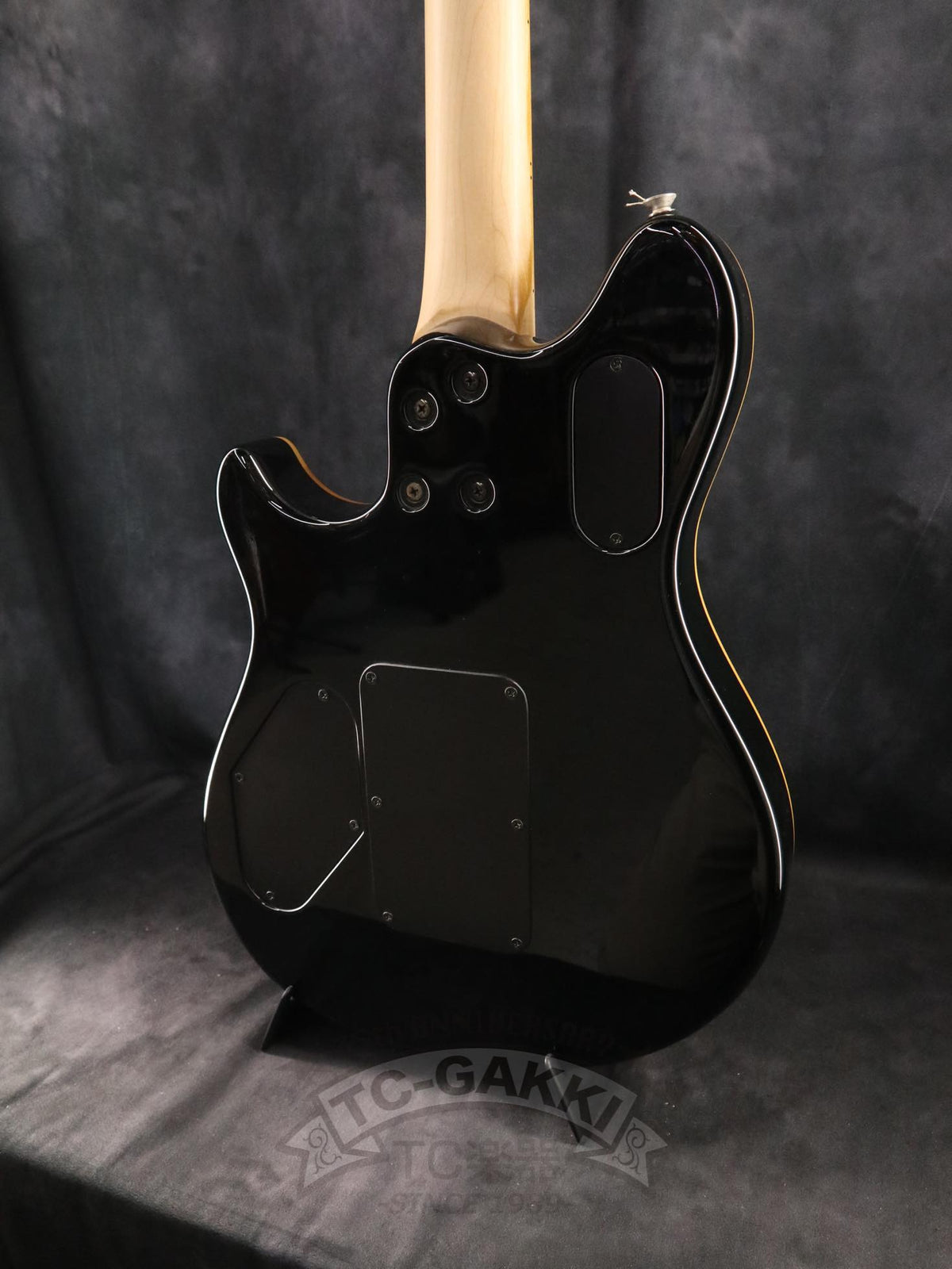 PEAVEY Wolfgang Special