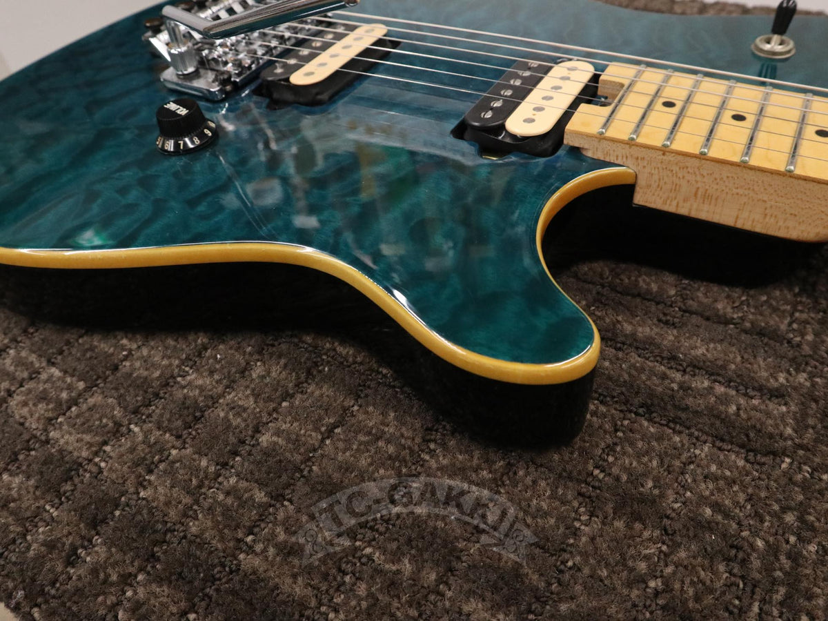 PEAVEY Wolfgang Special