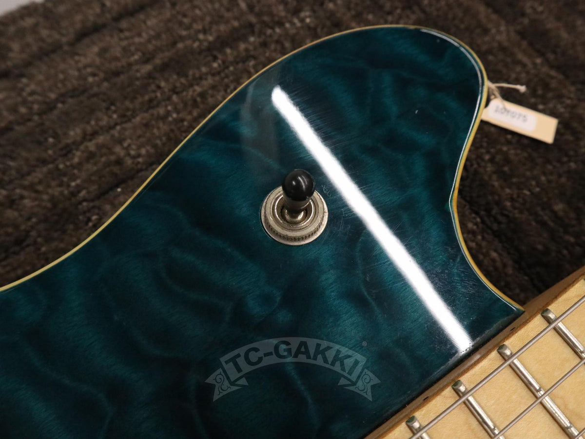 PEAVEY Wolfgang Special