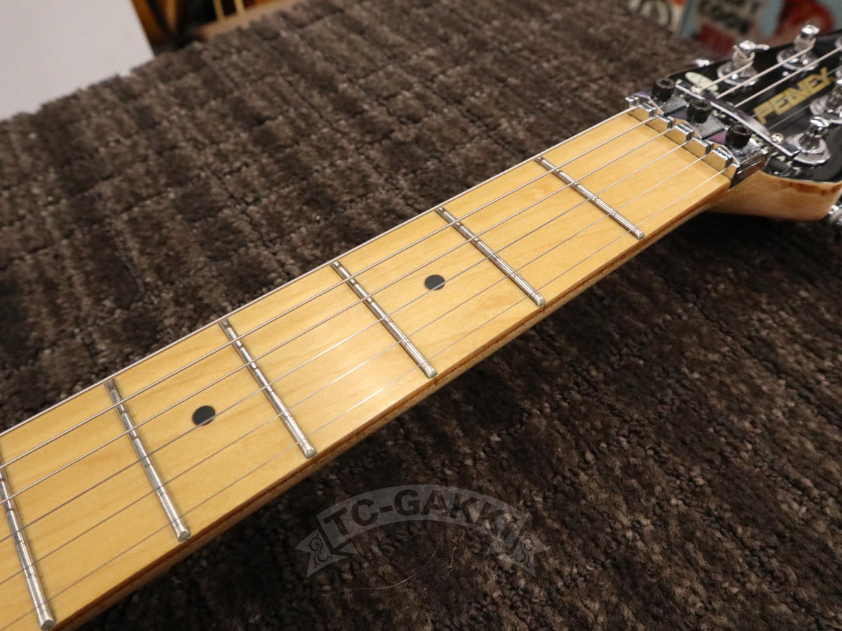 PEAVEY Wolfgang Special