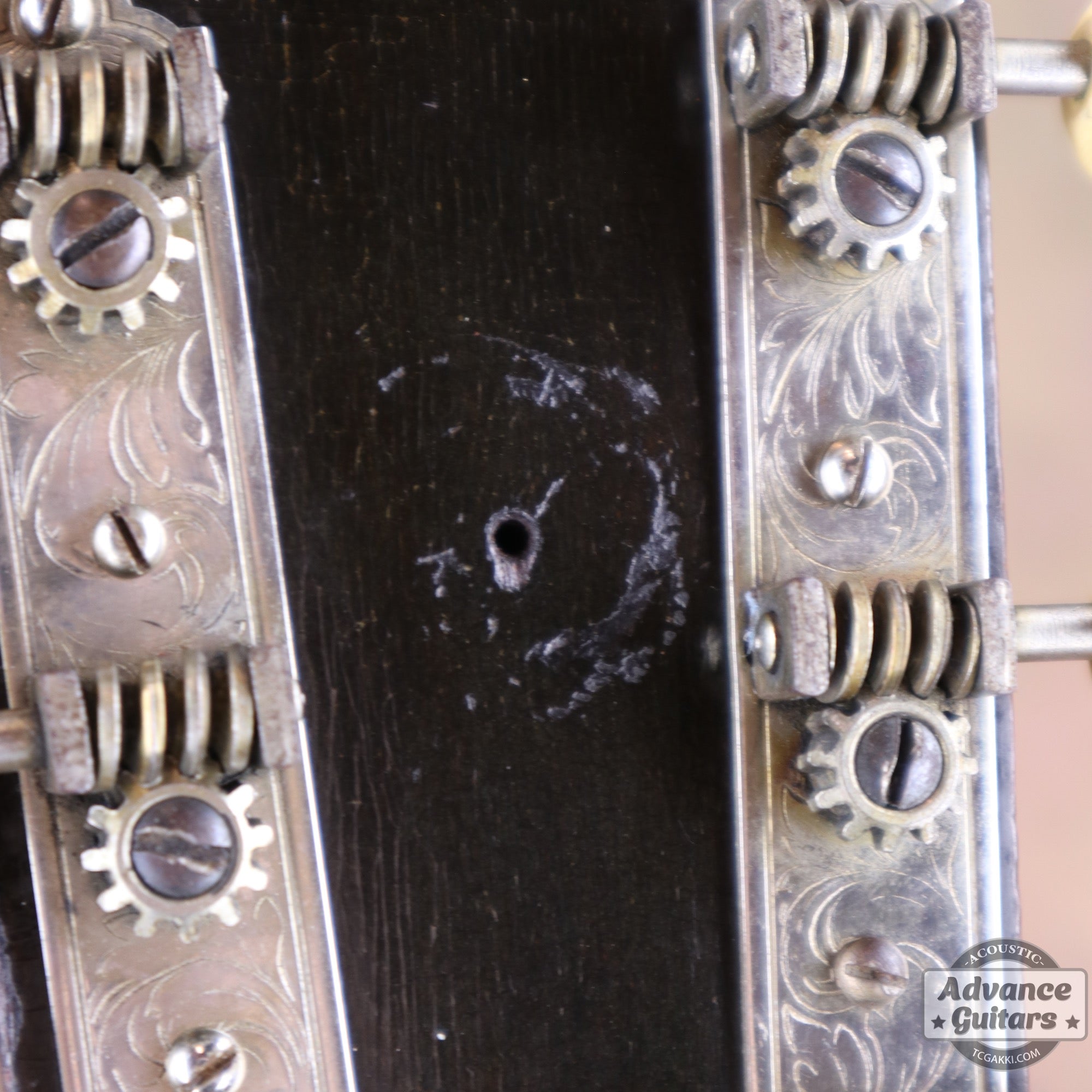 Gibson 1930年製 Gold Sparkle L-2