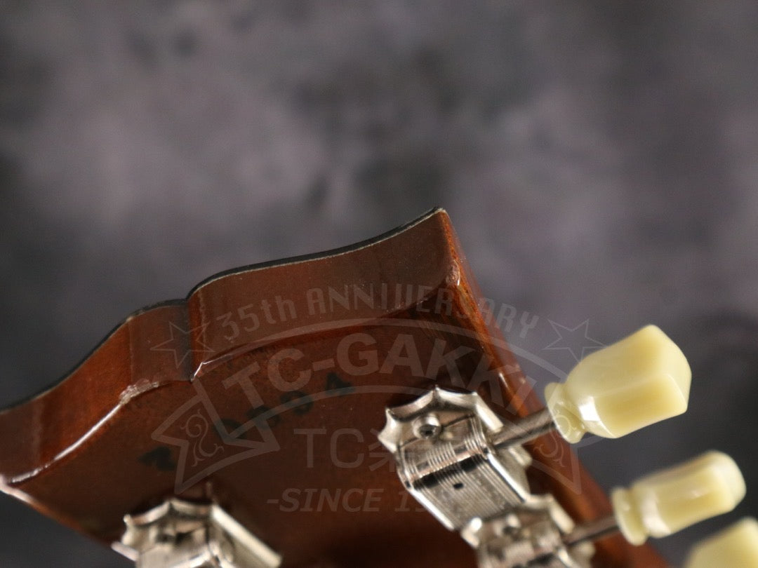 Gibson Les Paul Classic