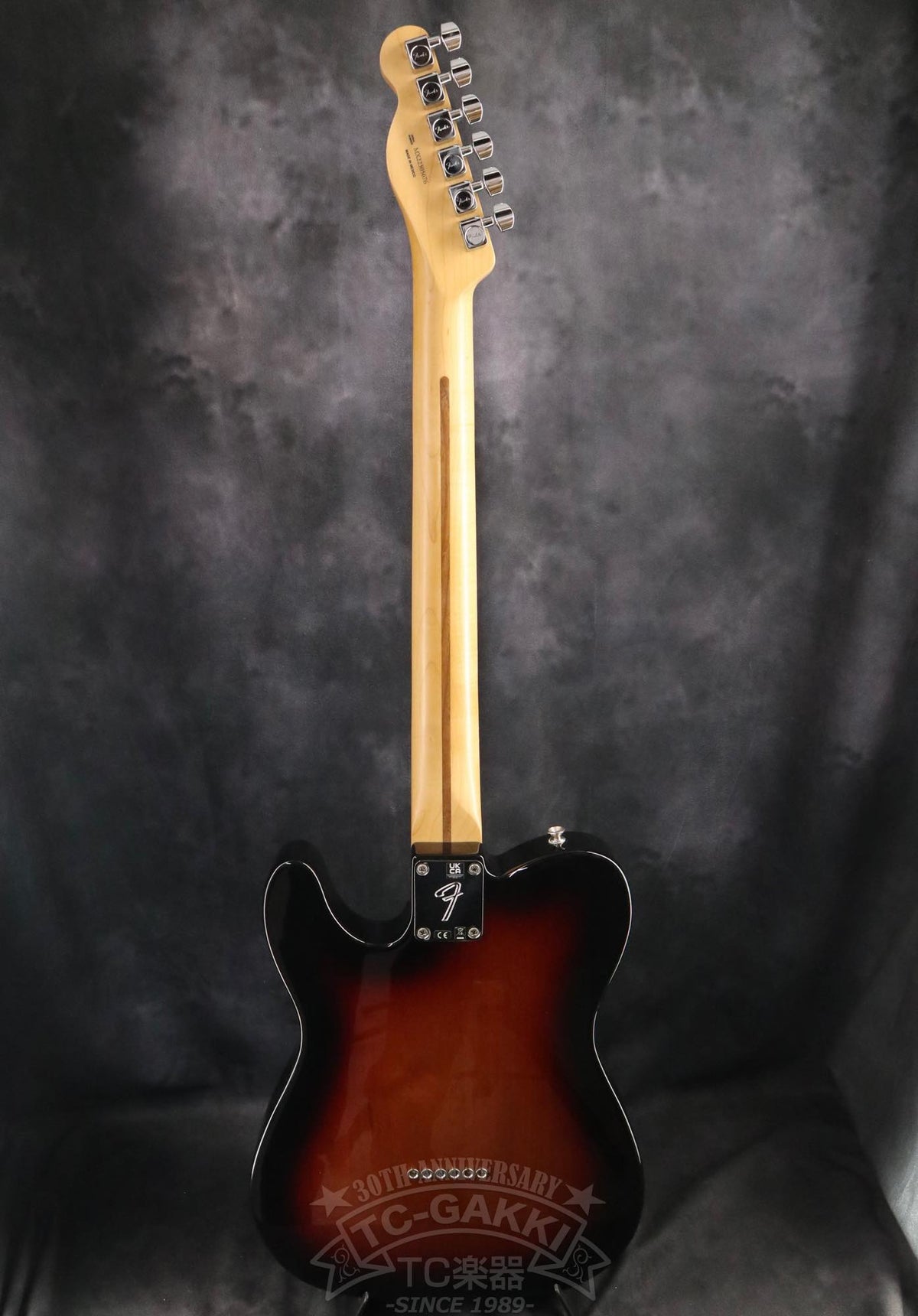 Fender Mexico Player Telecaster