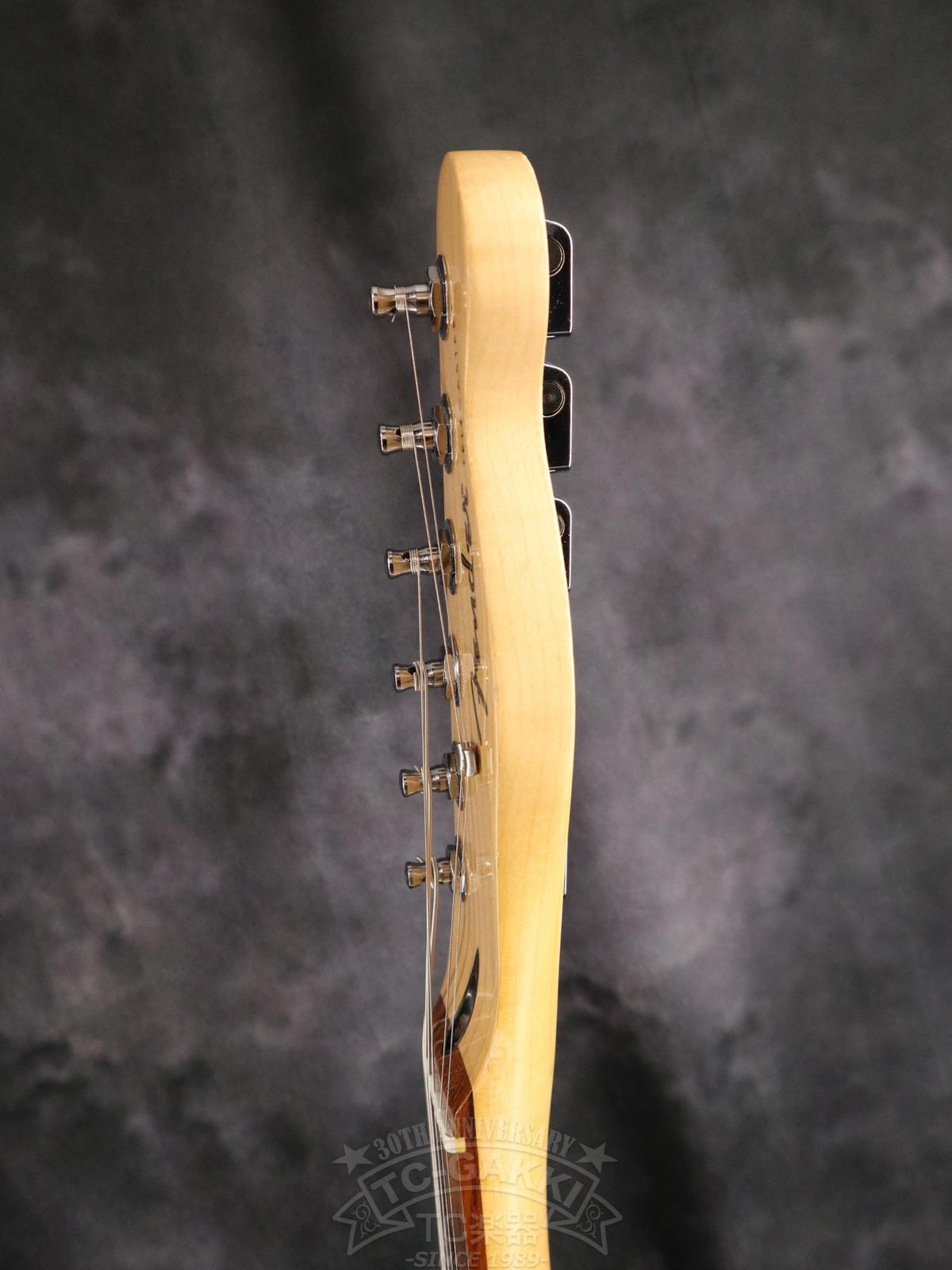 Fender Mexico Player Telecaster