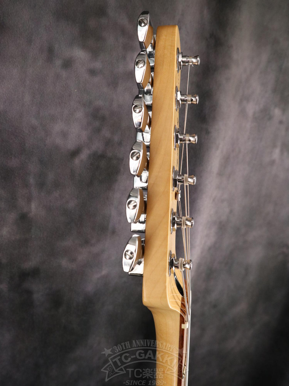 Fender Mexico Player Telecaster