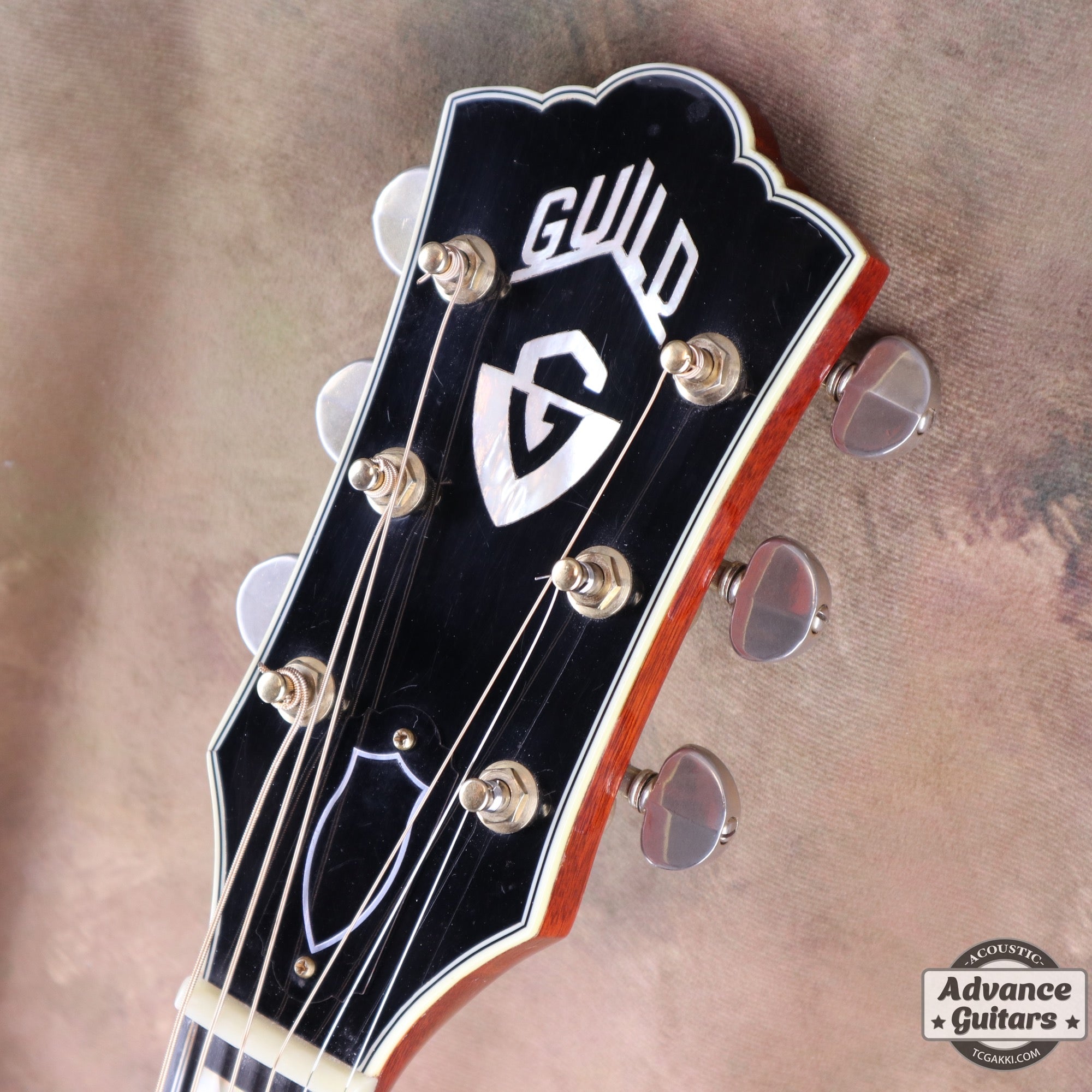 Guild 1967年製 F-50R Brazilian Rosewood